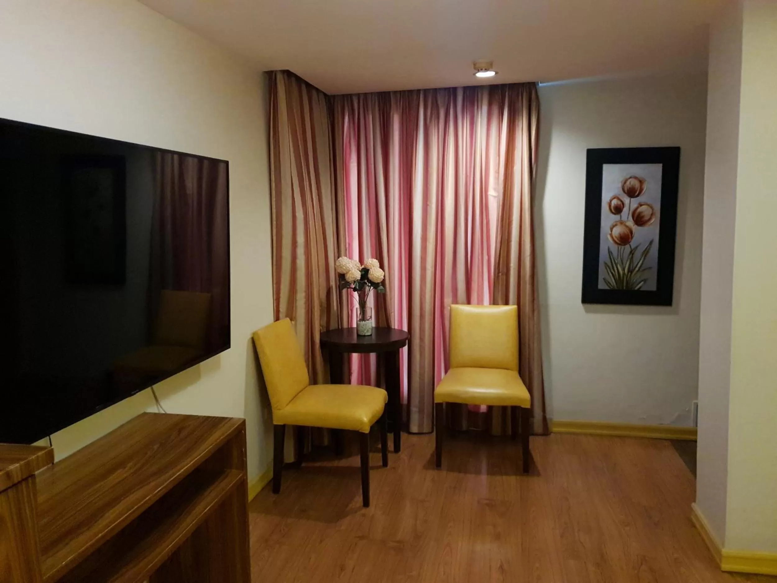 TV and multimedia in Festive Hotel Makati