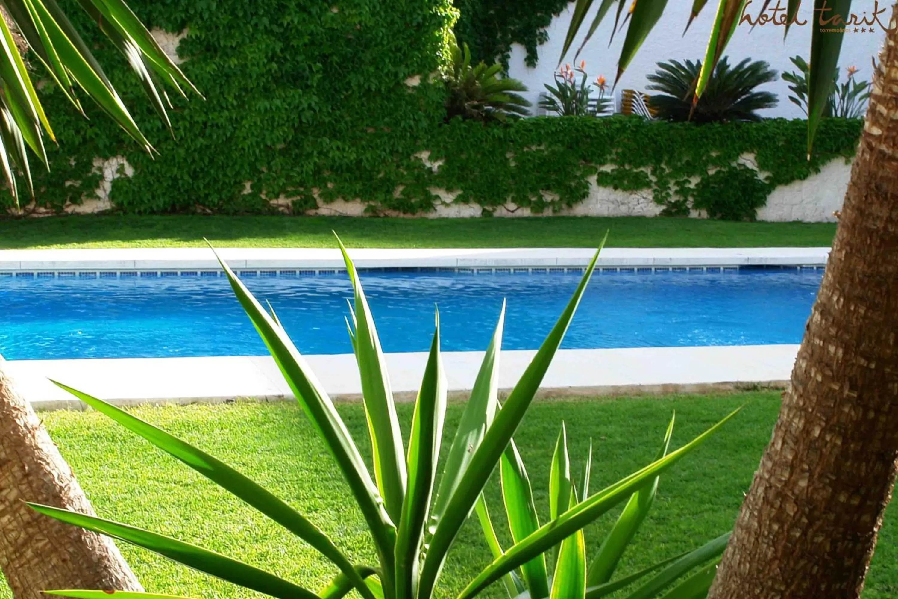 Garden in Hotel Tarik