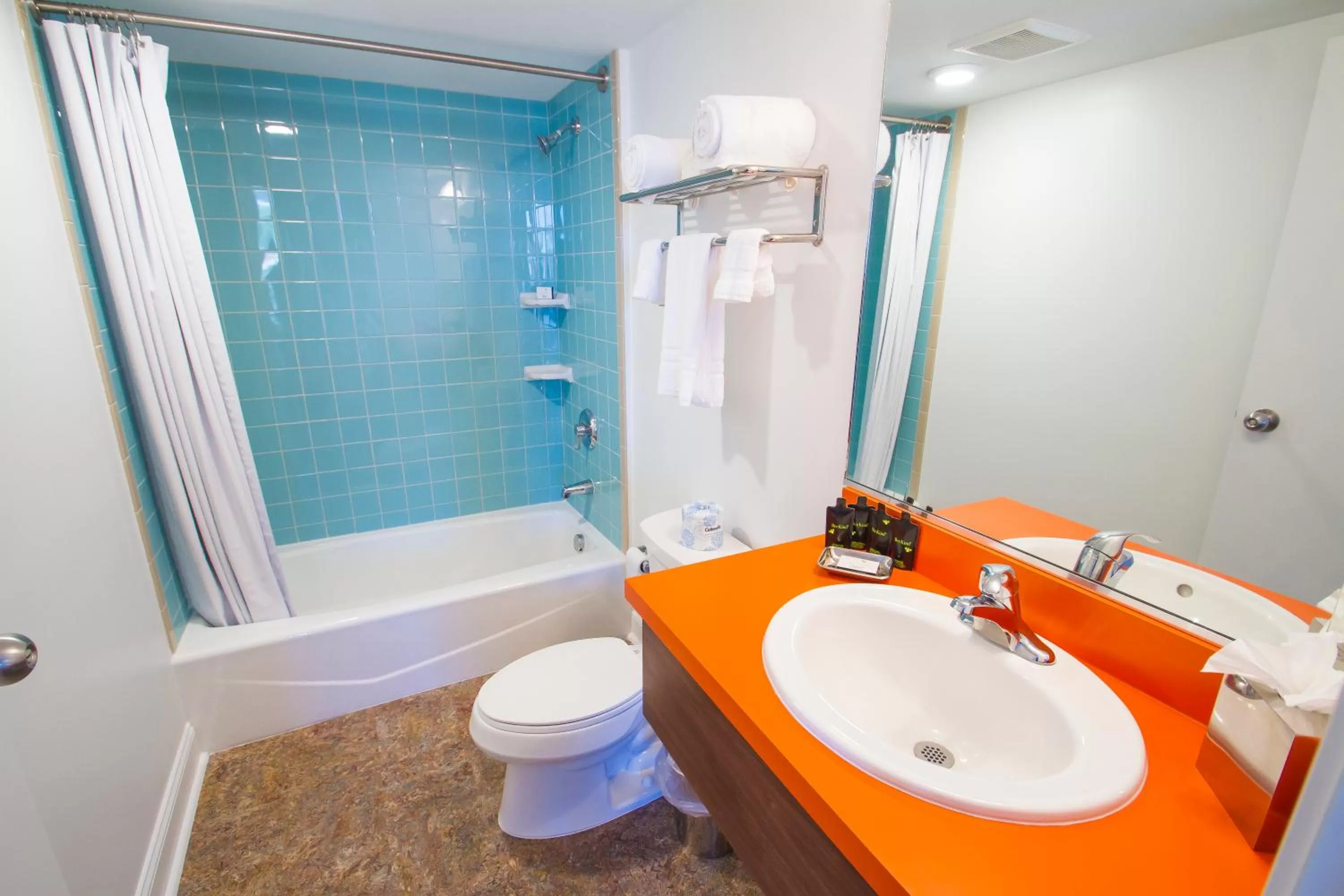 Bathroom in Mother Earth Motor Lodge