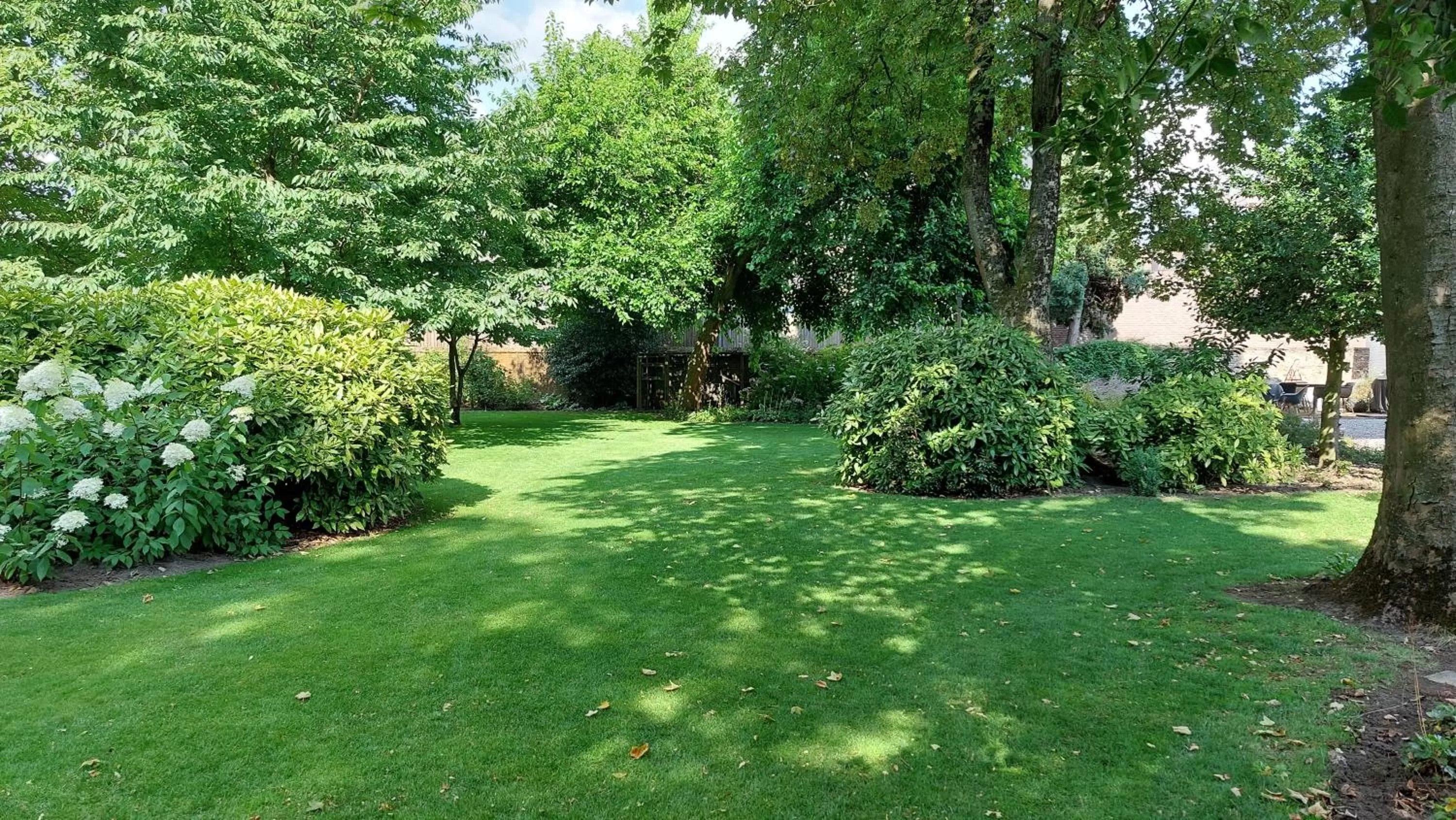 Garden in Logement 1818