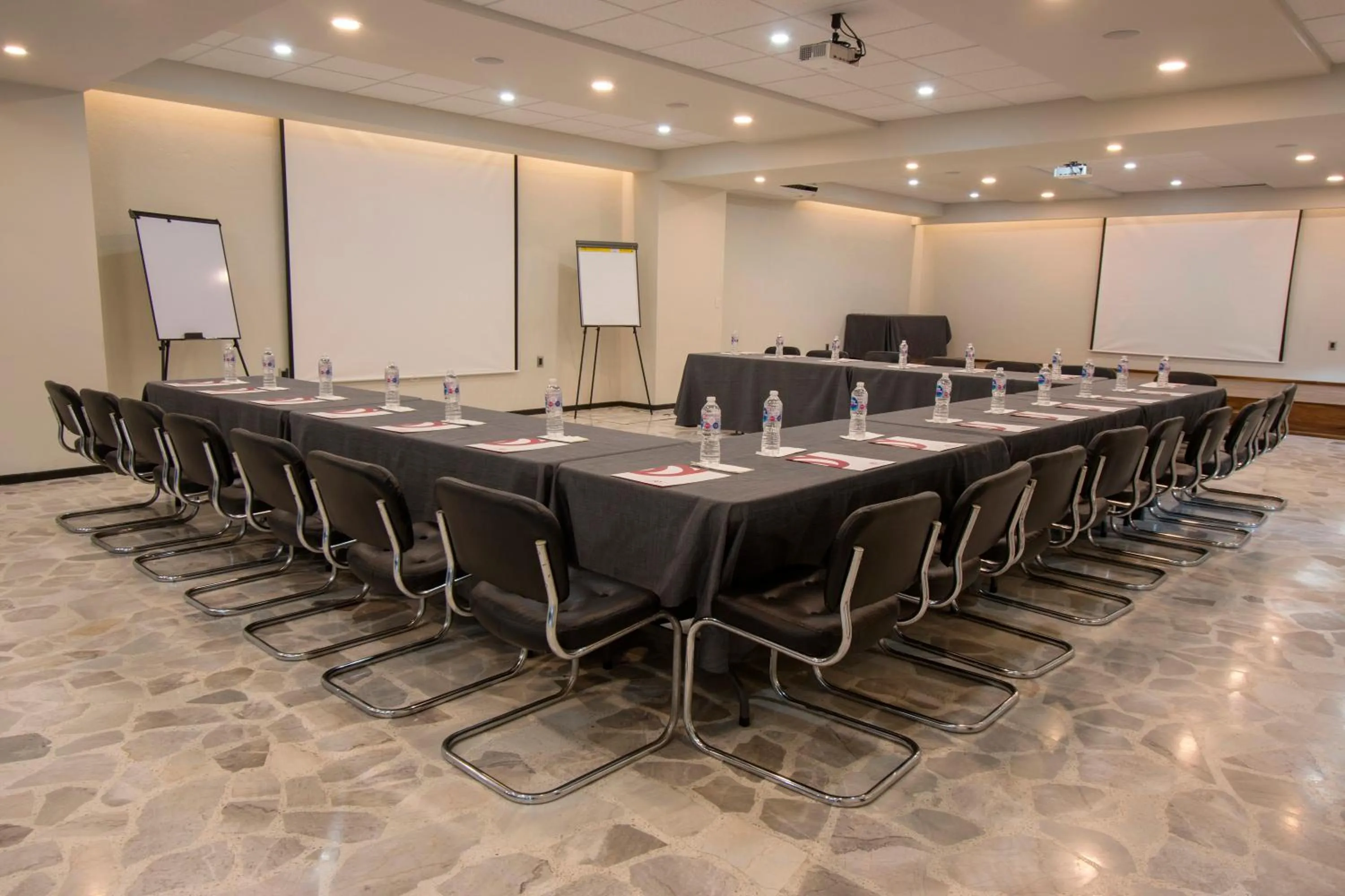 Business facilities in Hotel Rio Tequisquiapan