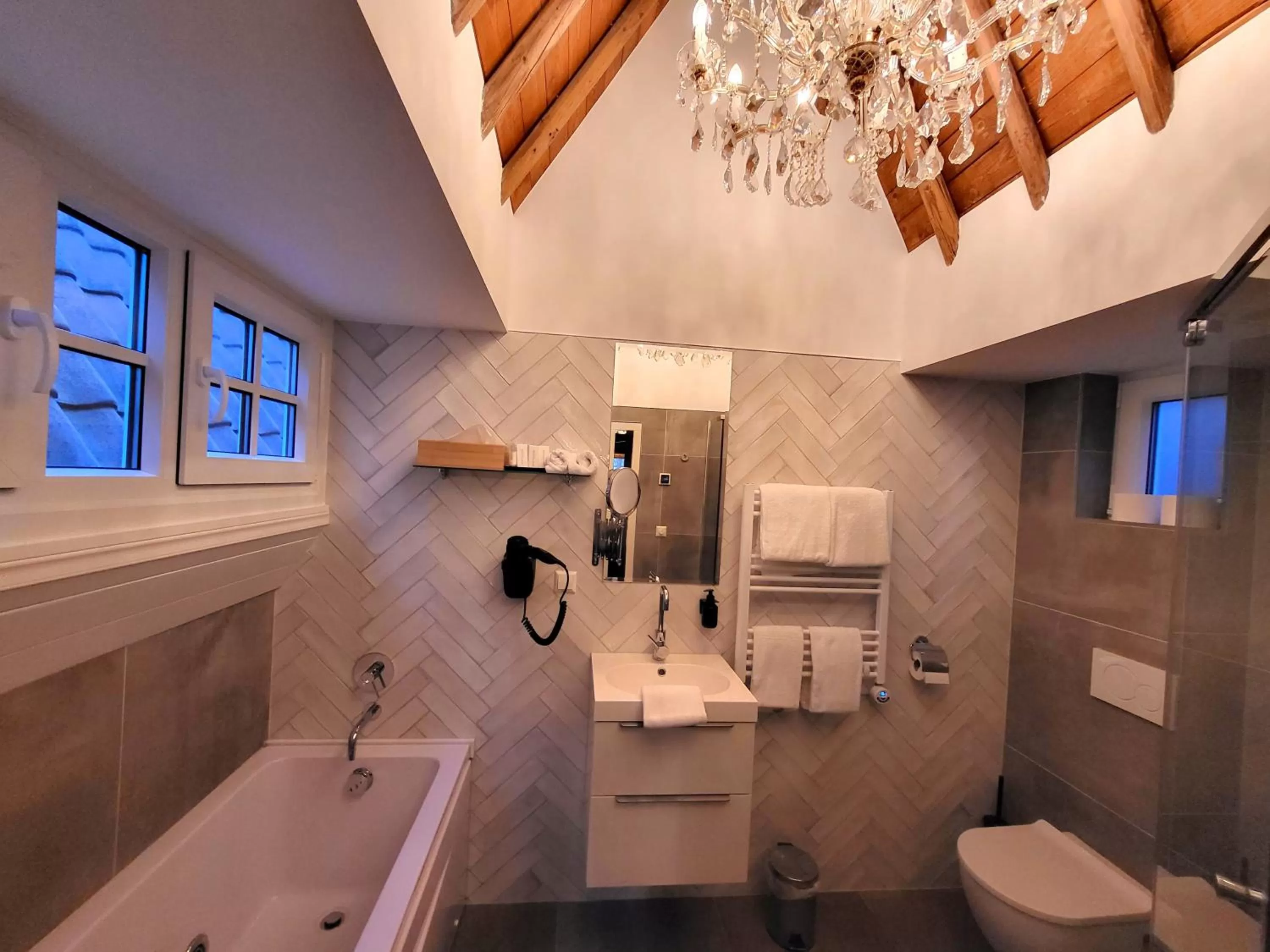 Bathroom in Huys van Leyden