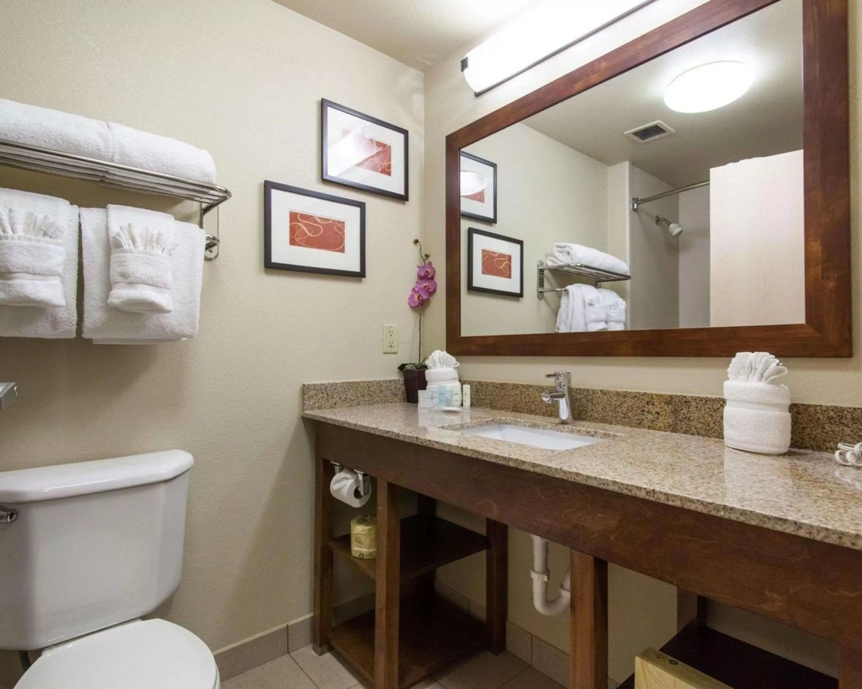 Bathroom in Comfort Suites Tulsa Central