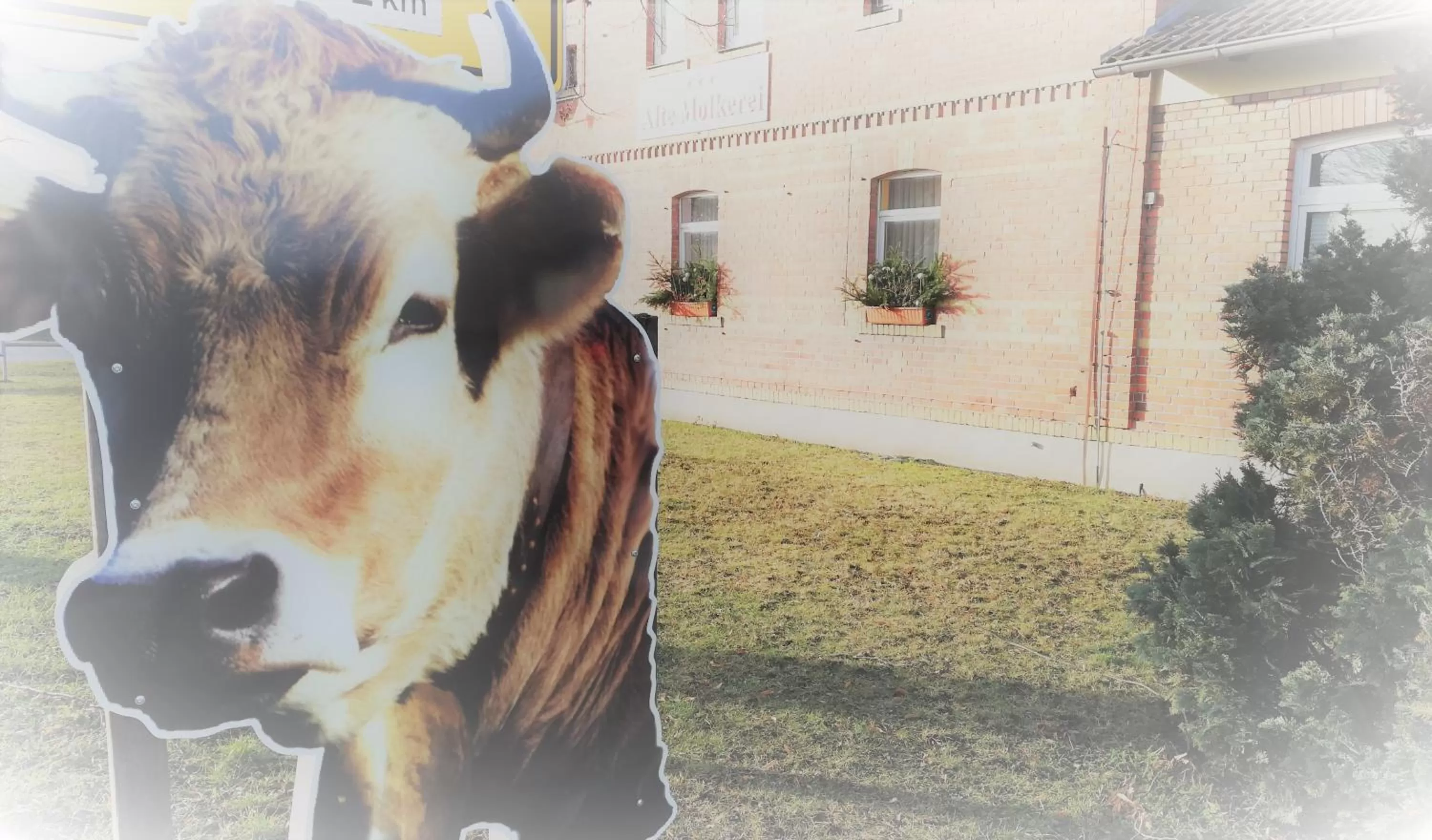 Street view in Hotel & Restaurant Alte Molkerei Kölleda