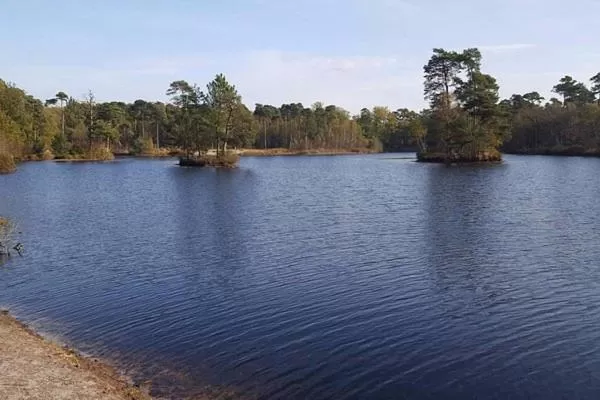 Chalet Heggemus Oisterwijk