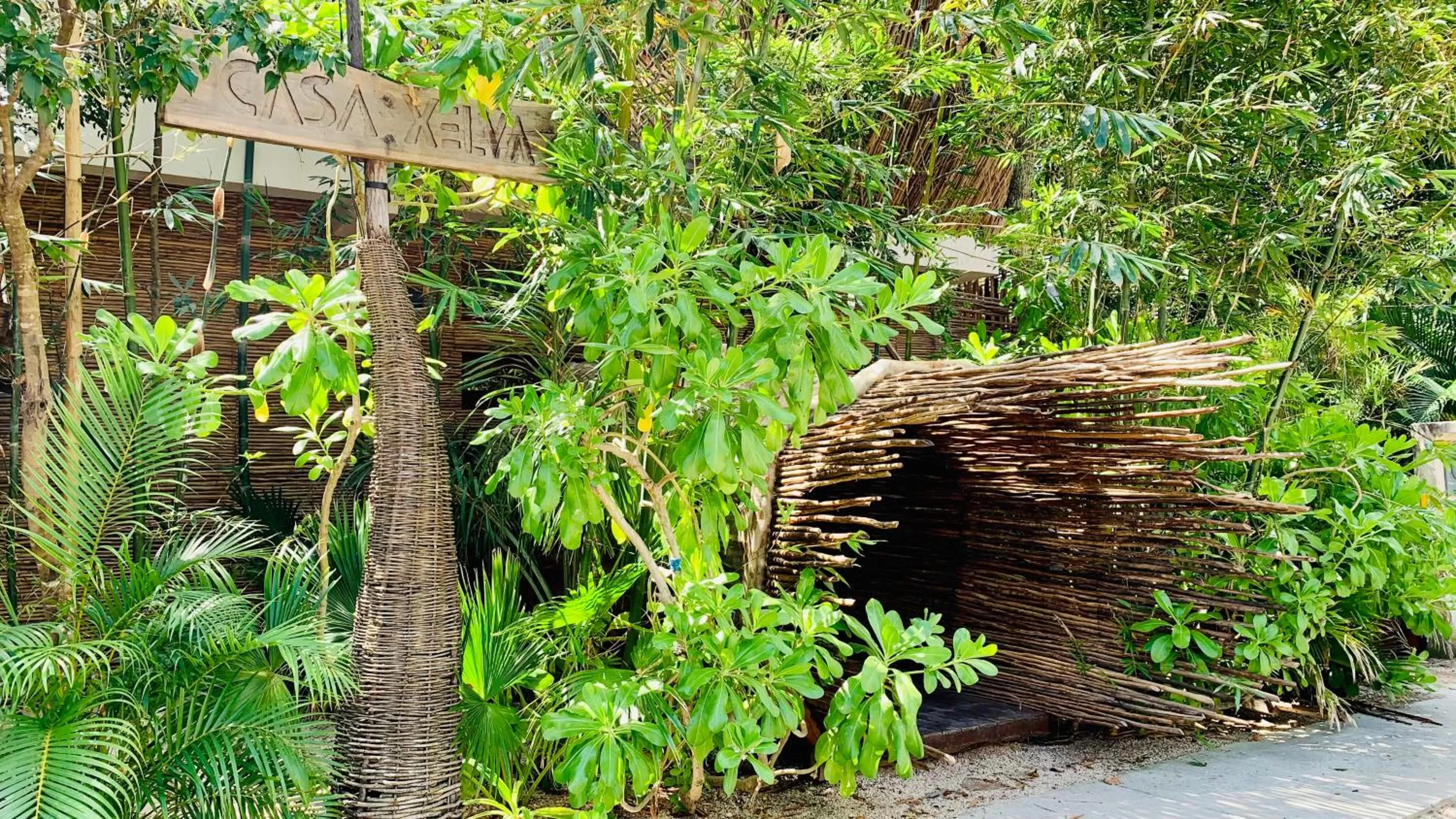Garden in Orchid House Tulum Jungle