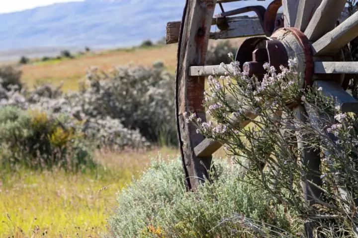 Hostería El Galpón Del Glaciar