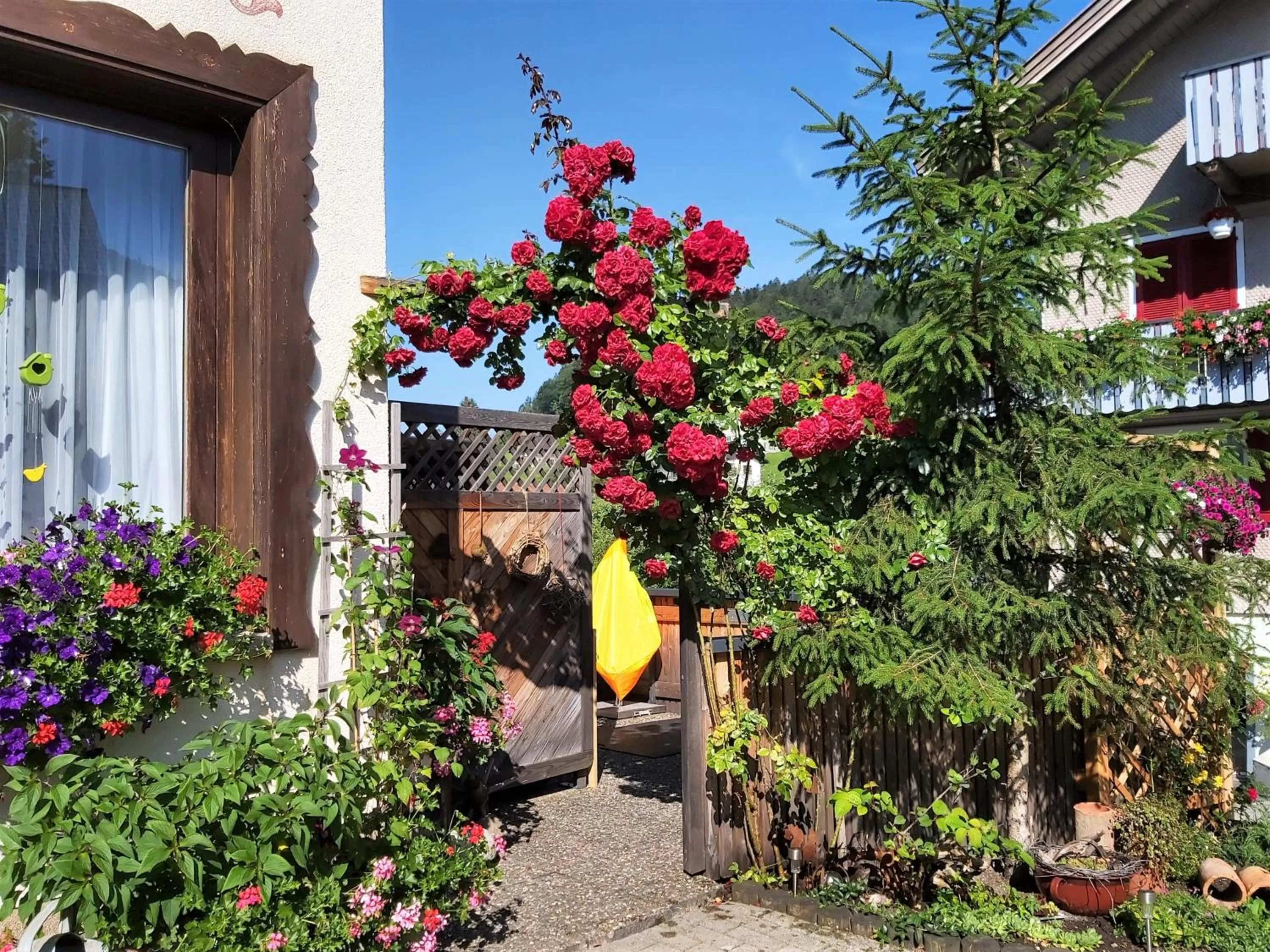 Property Building in Gästehaus Gitti Dorner