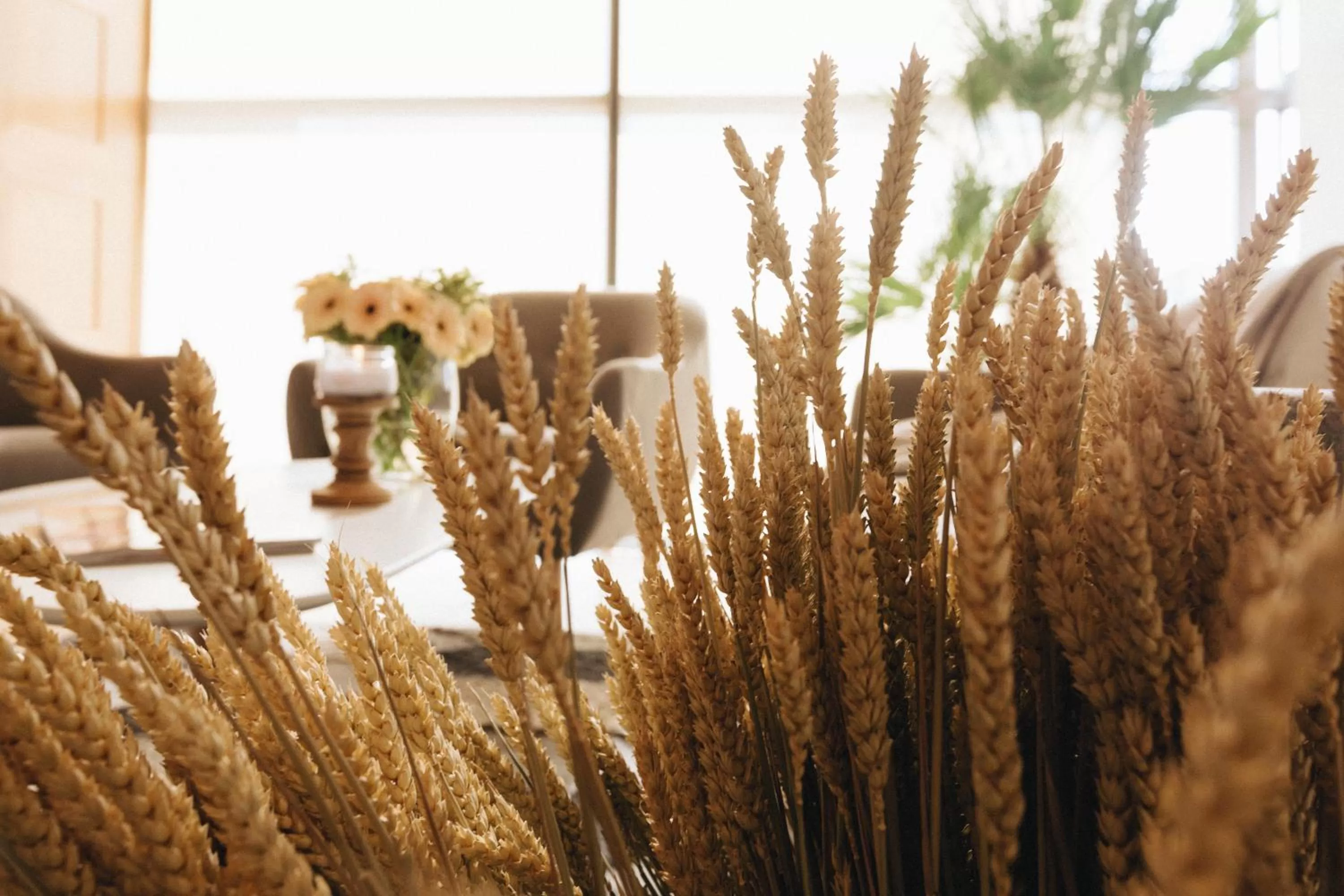 Spa and wellness centre/facilities in Country Spa Retreat