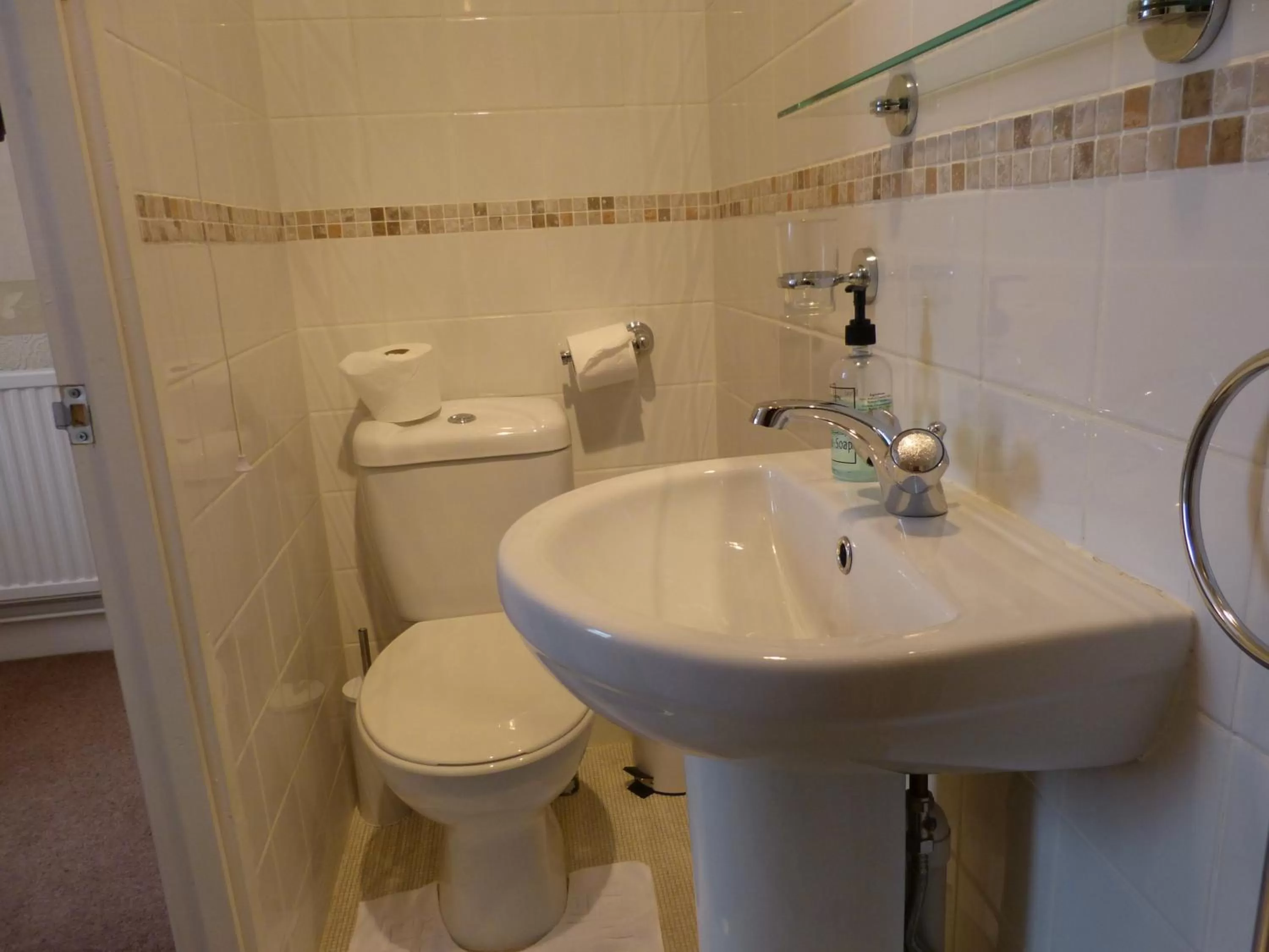 Toilet in The Thornhill