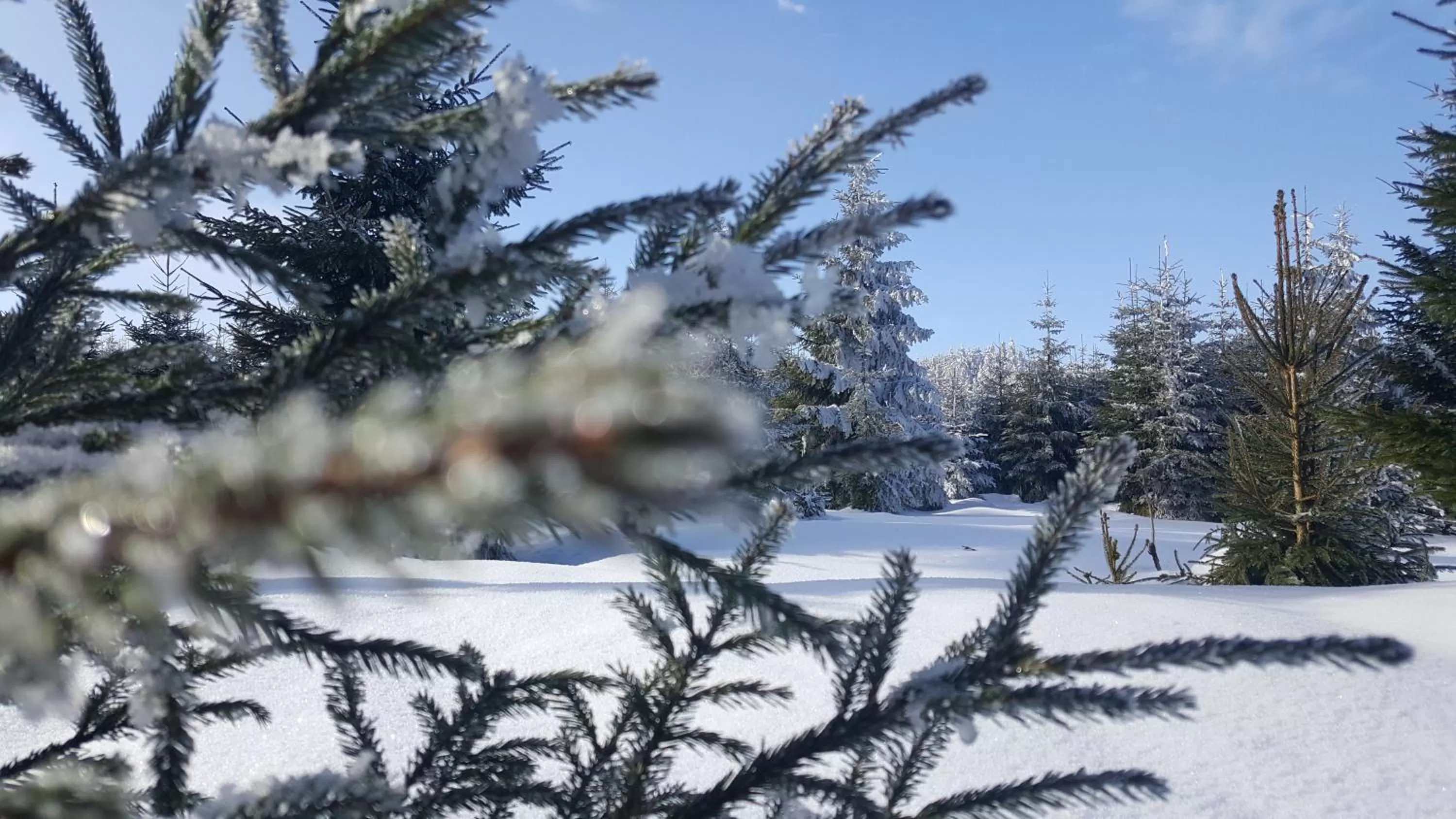 Winter in Hotel & Pension Traumblick