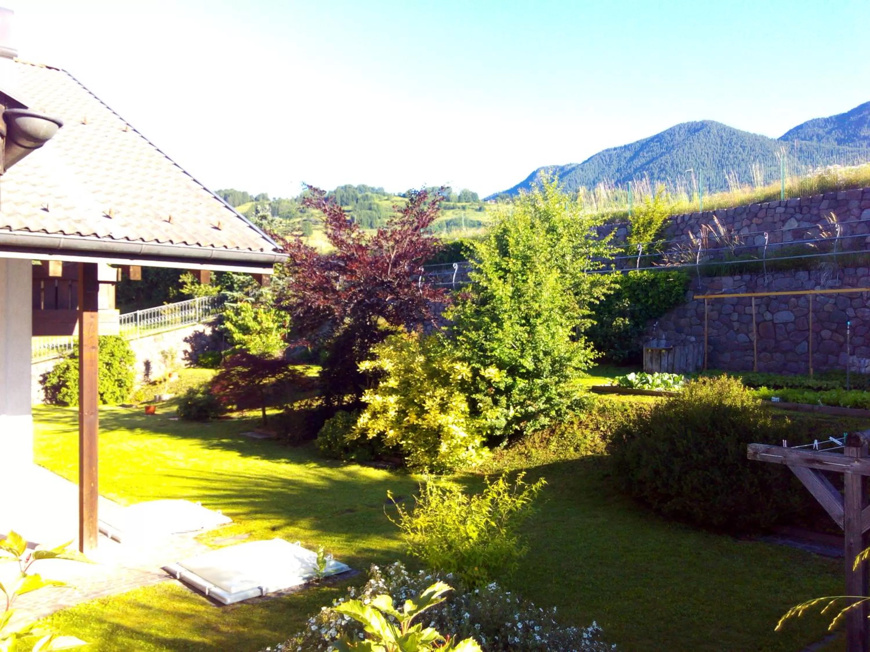 Natural landscape in B&B Casa Bazzanella