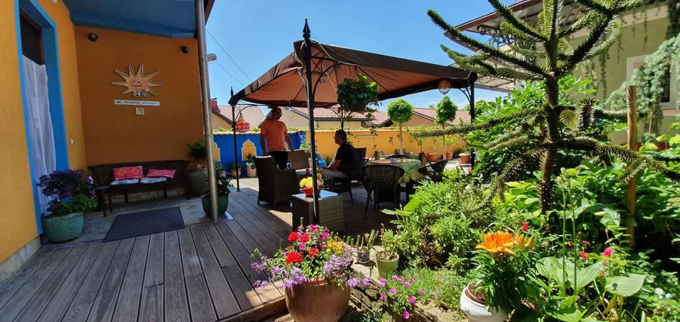 Garden in Hostel Sonce
