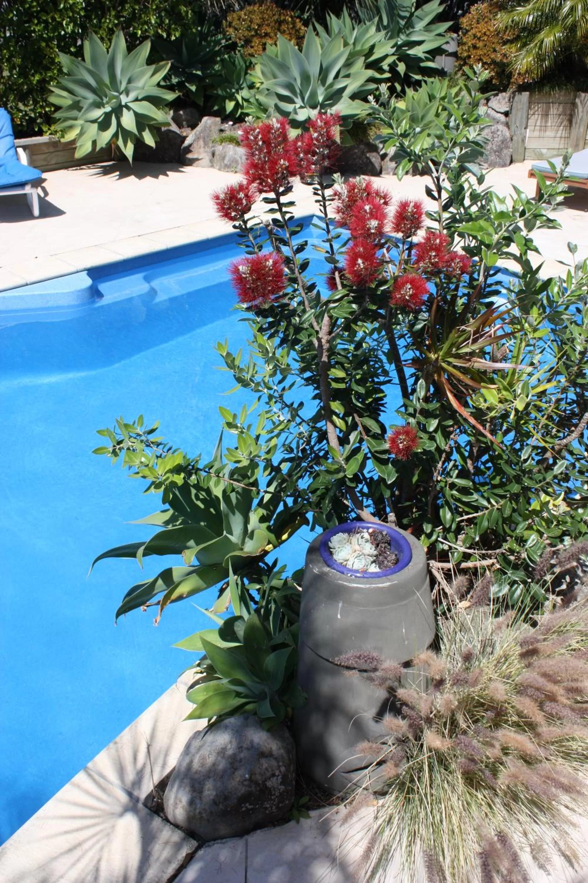 Day in Snells Beach Motel