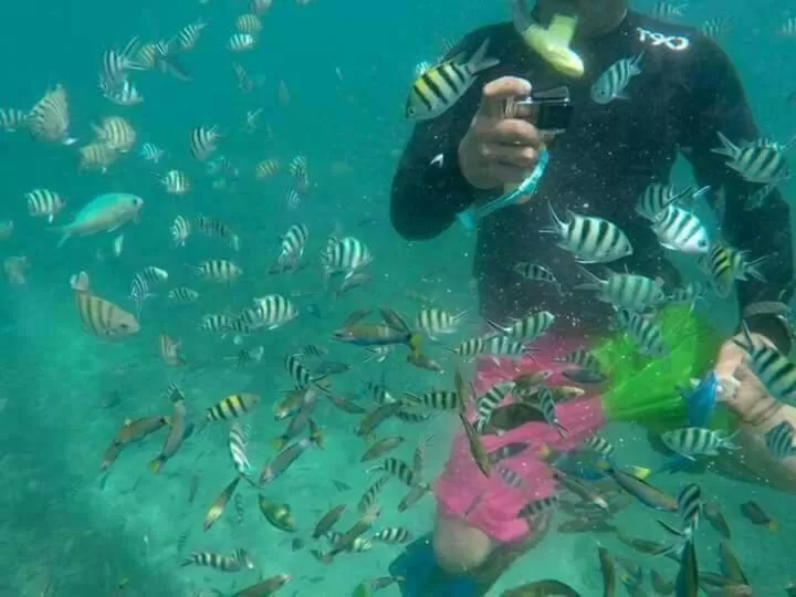 Snorkeling/Diving in Dragon Pearl Beach Resort