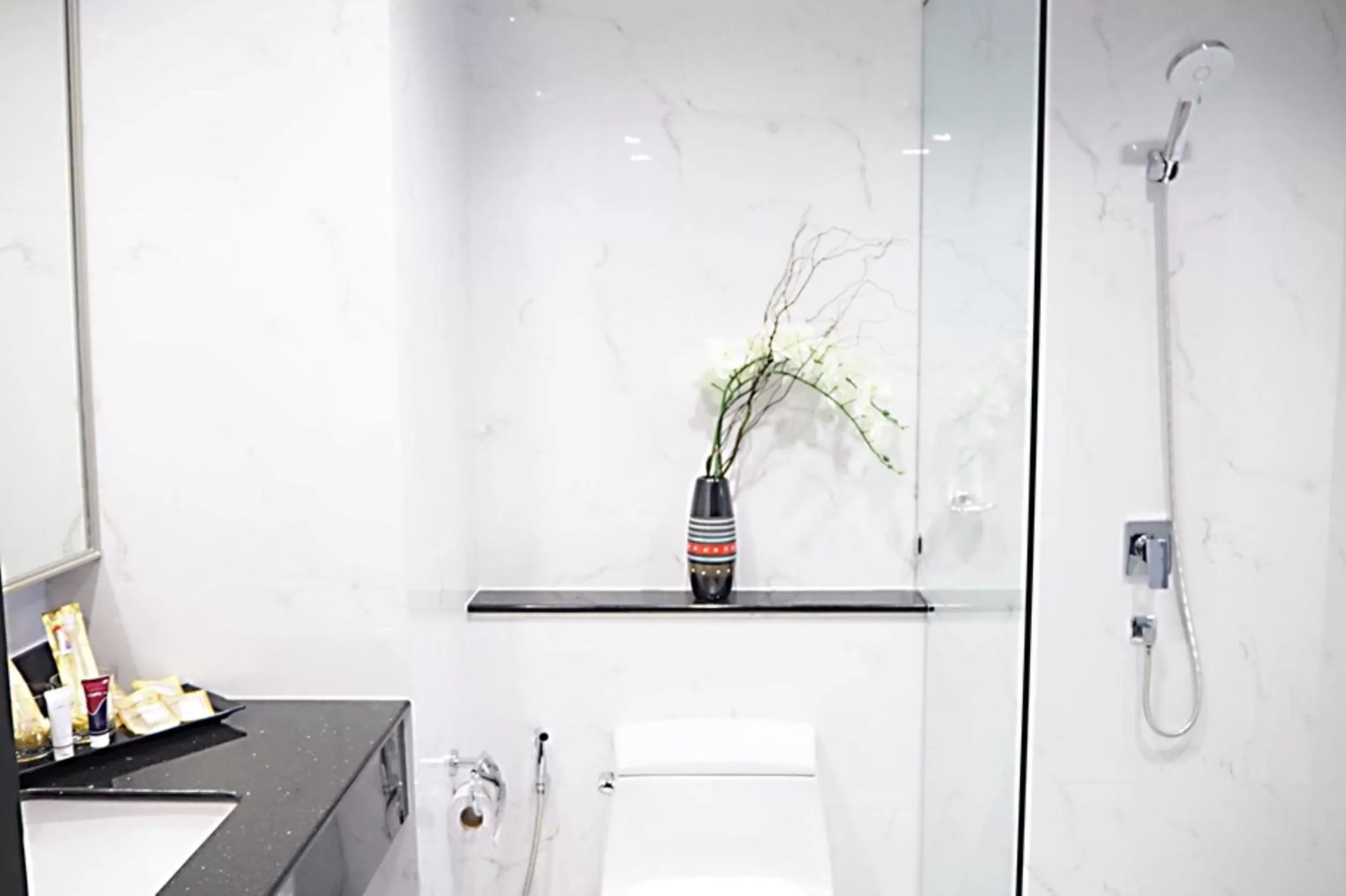 Toilet in SN Connx - SHA Plus