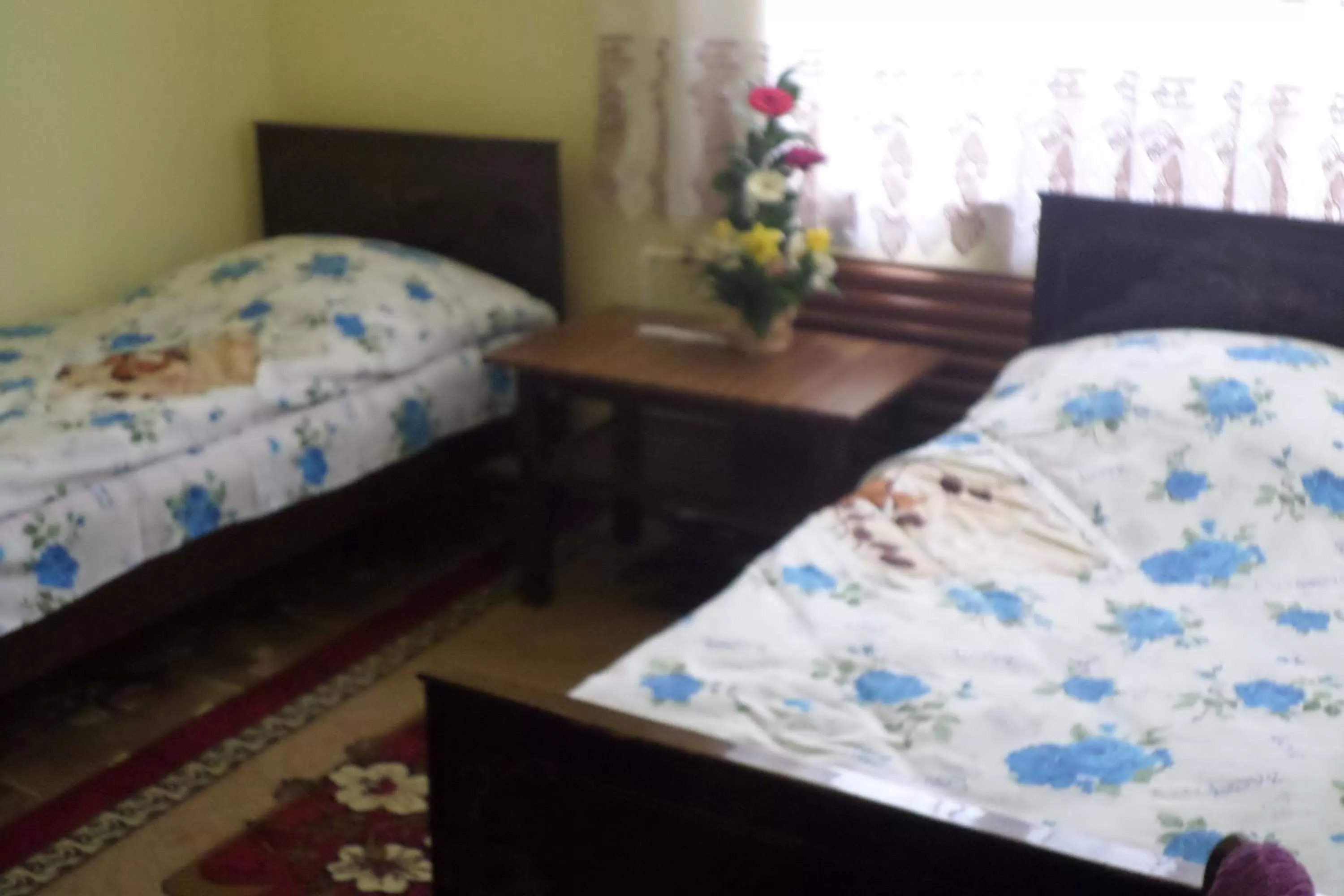 Bed in Spandaryan House