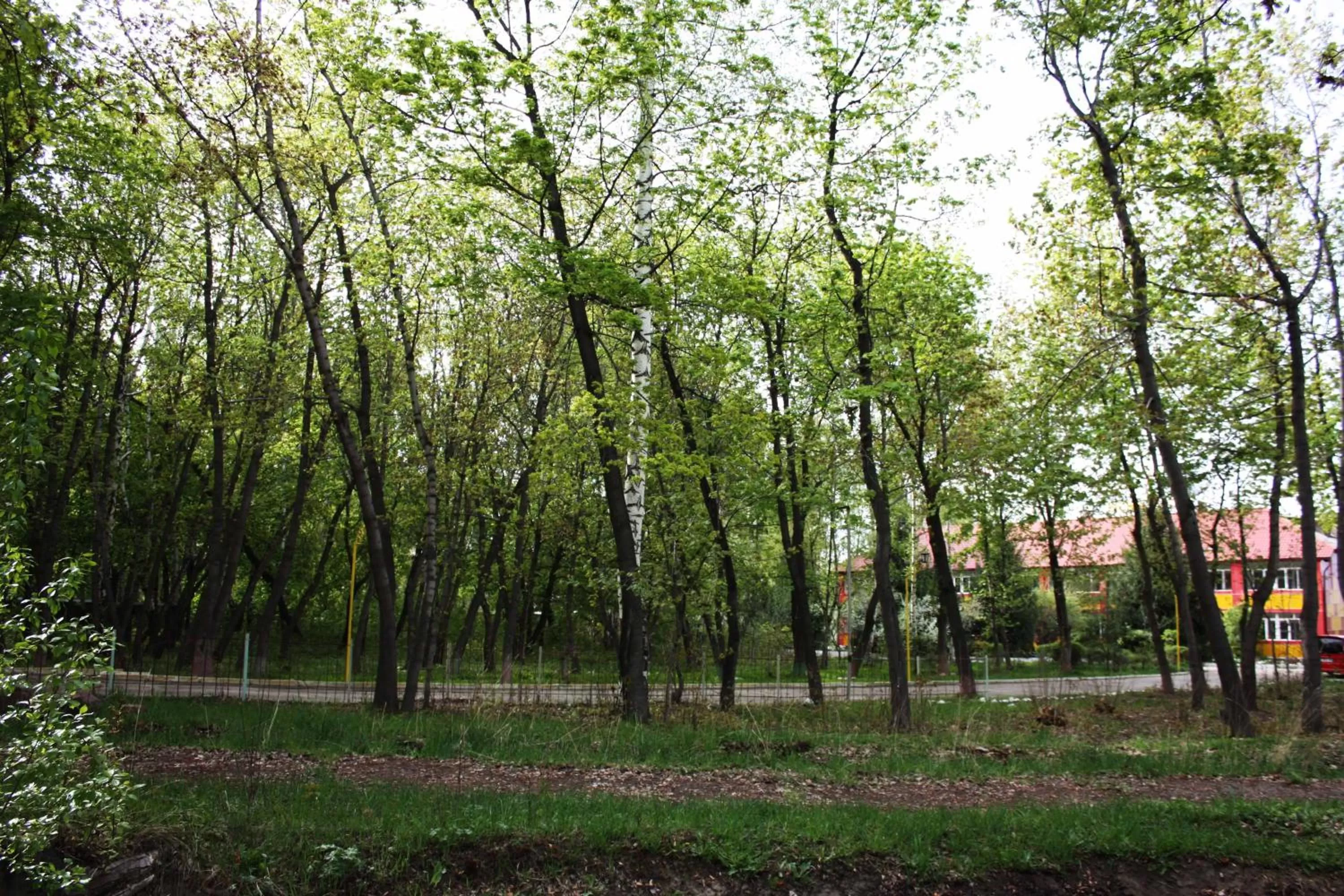 Garden in Otel Issyk-Kul Karakol