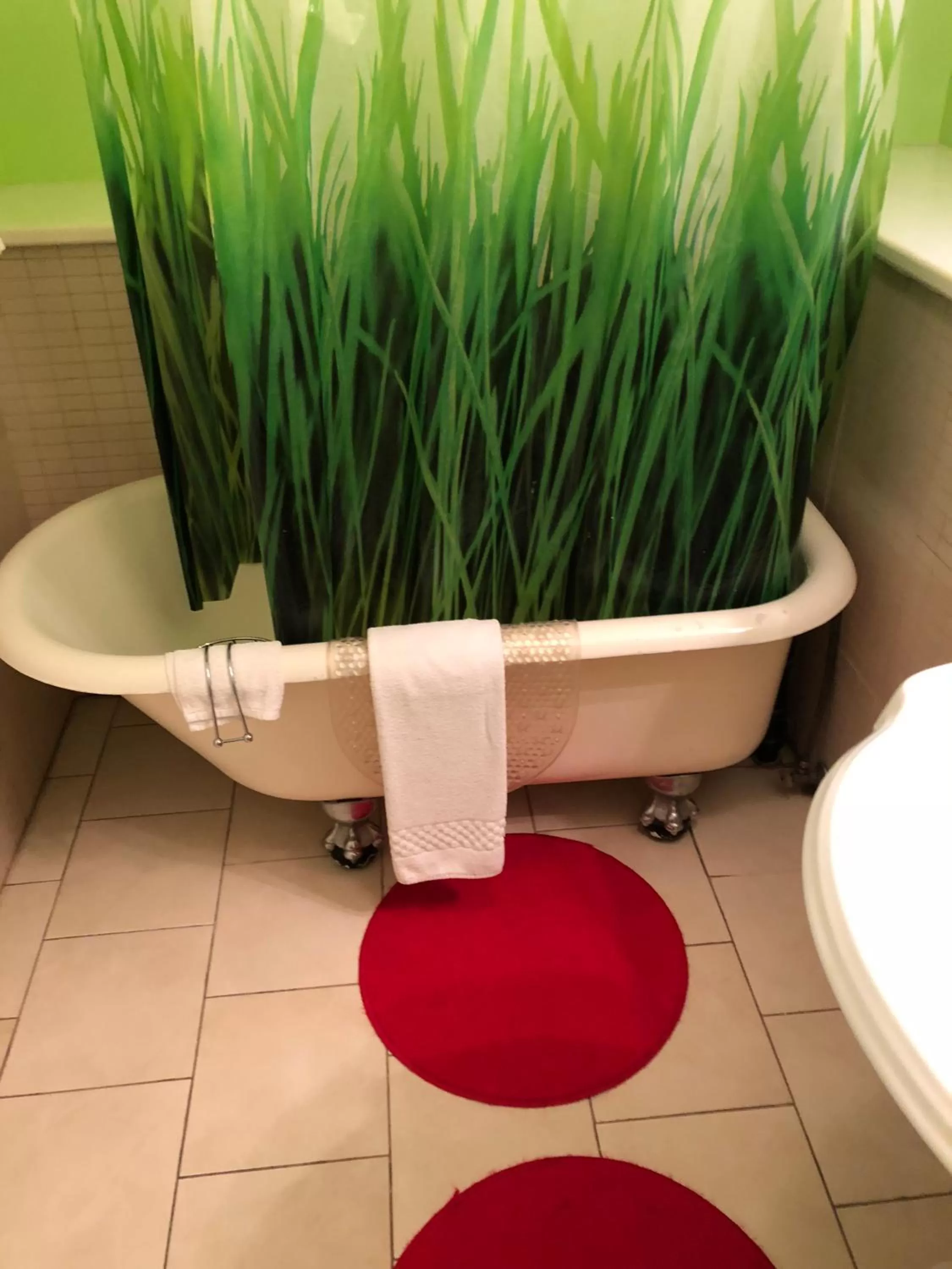 Shower in Barclay House Bed and Breakfast