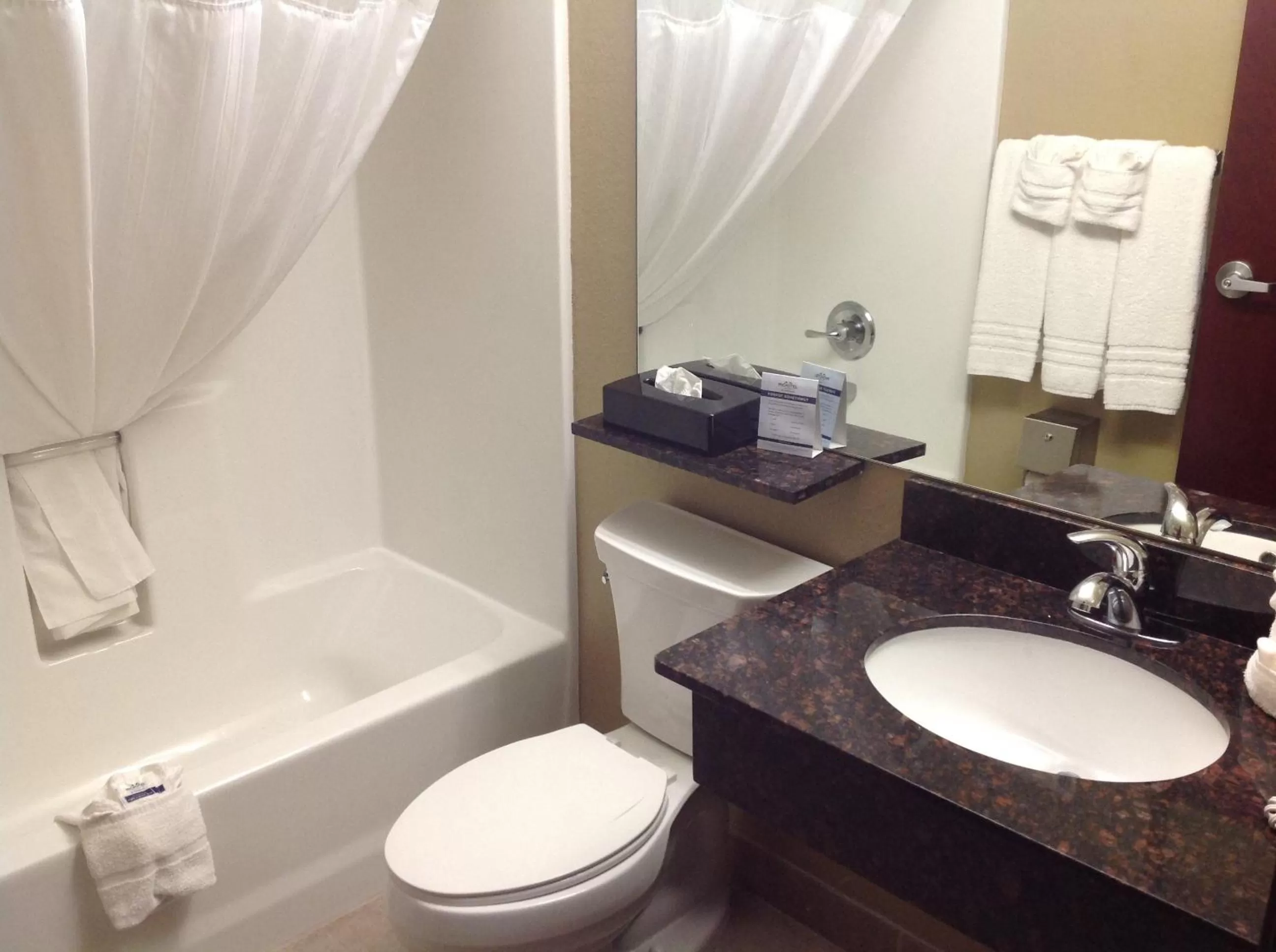Queen Studio Suite - Non-Smoking in Microtel Inn & Suites Gonzales TX