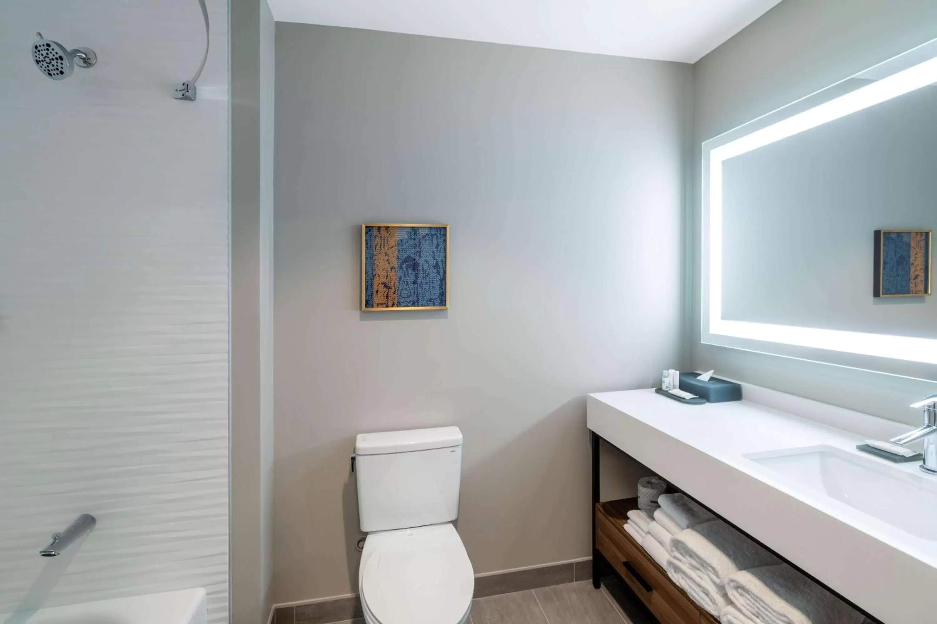 Bathroom in La Quinta Inn & Suites by Wyndham Nashville Downtown Stadium