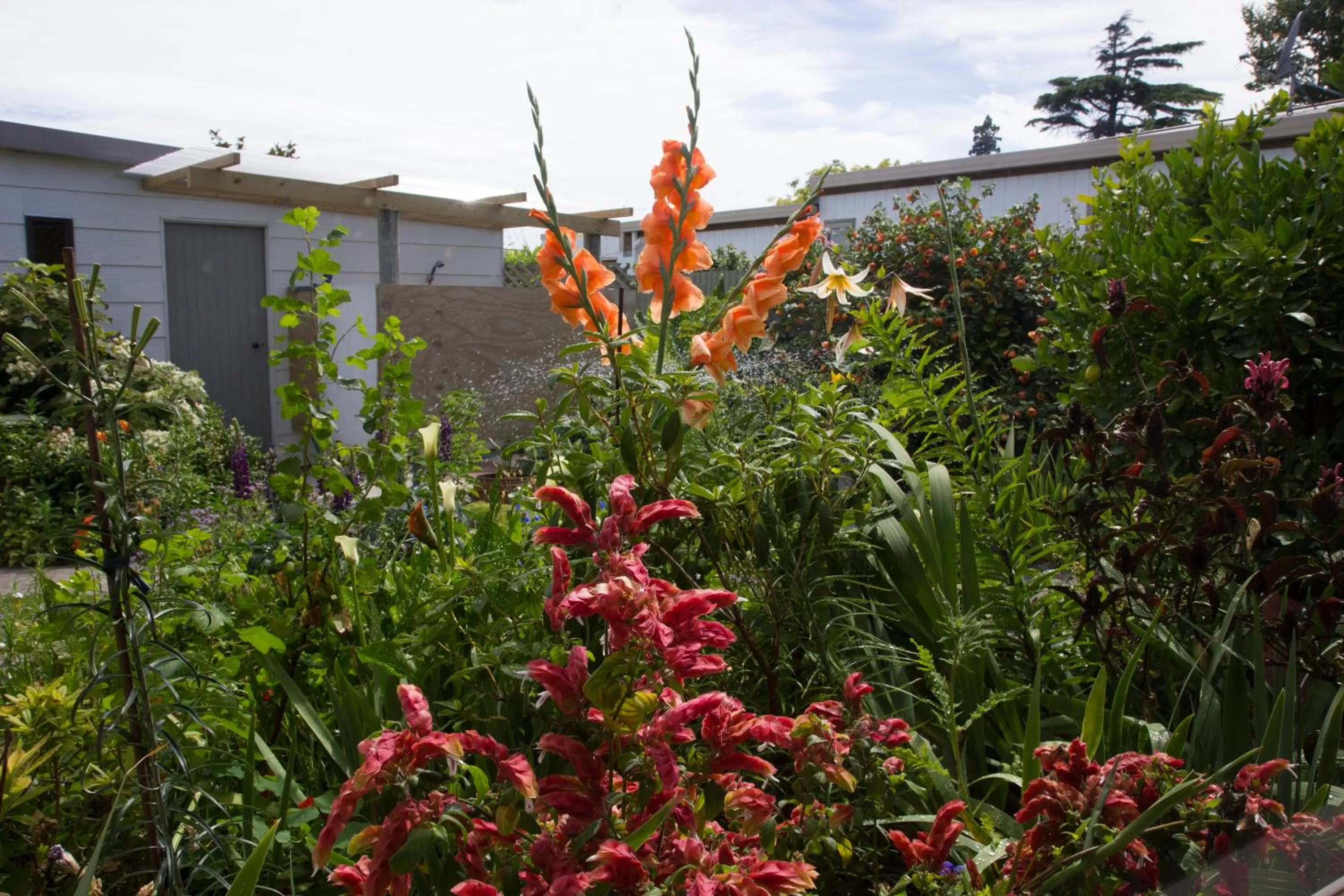 Property Building in Magnolia House