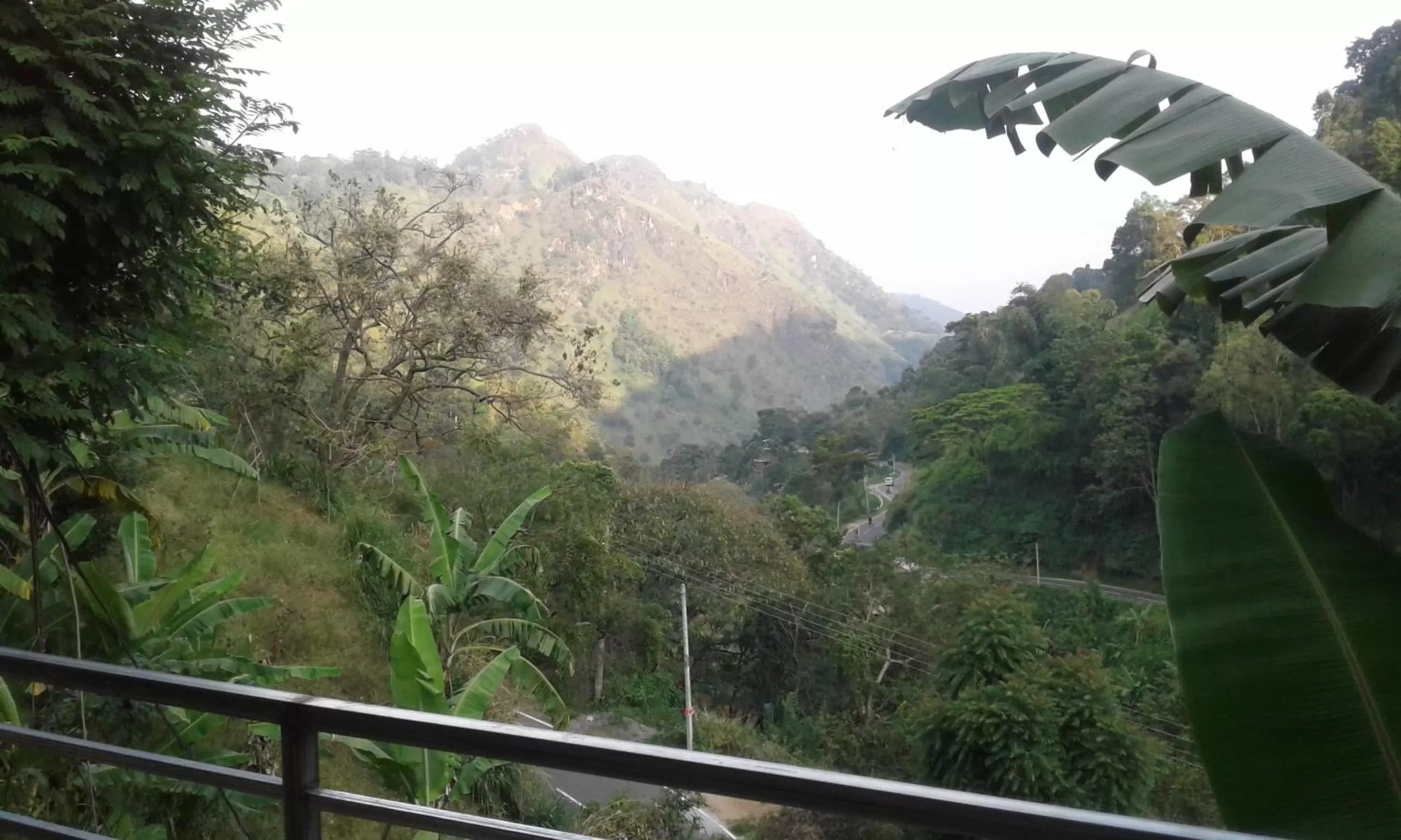 Mountain View in Ella Lucky Panoramic