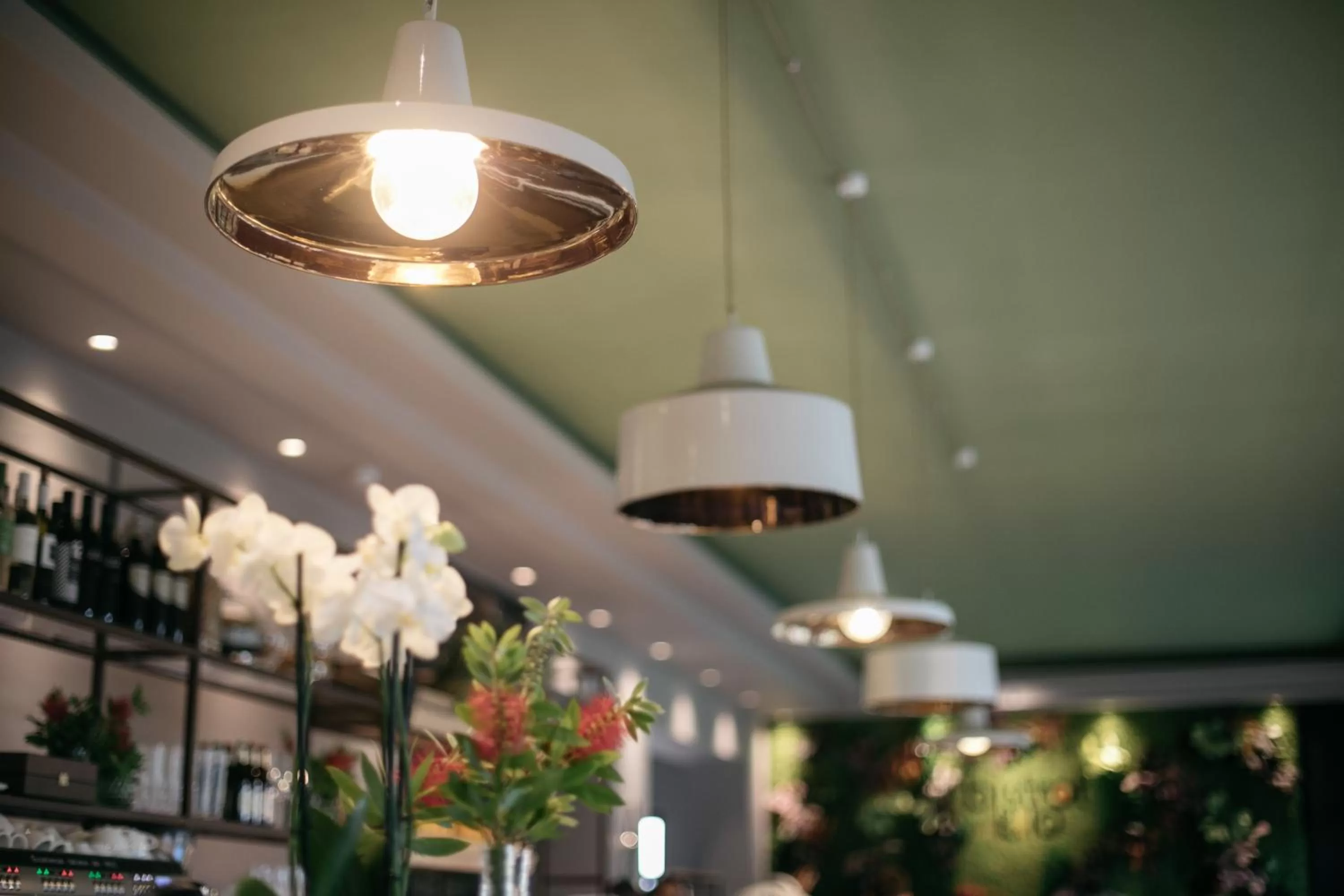 Restaurant/places to eat in Hotel Aloisi