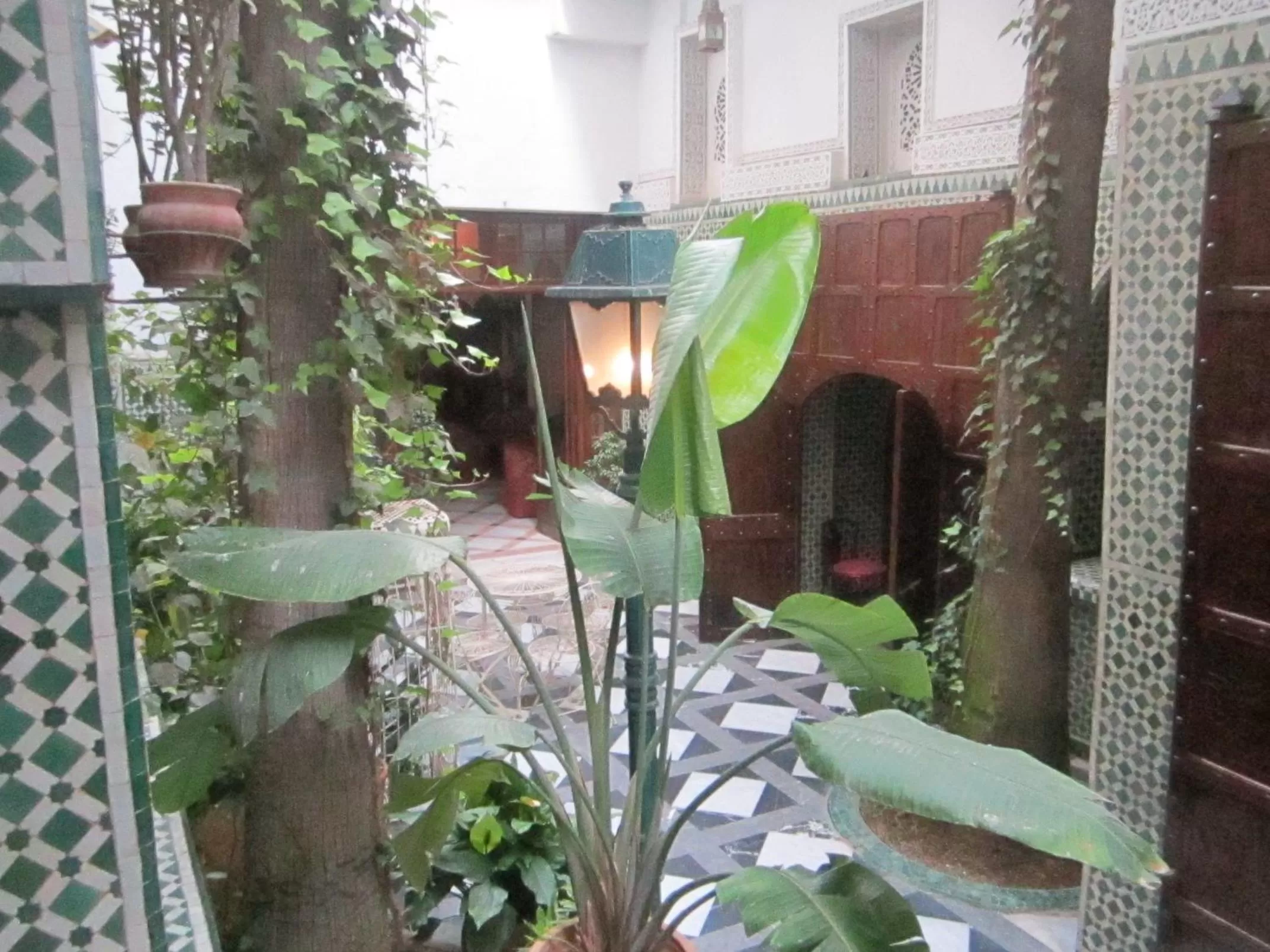 Garden in Hôtel Transatlantique