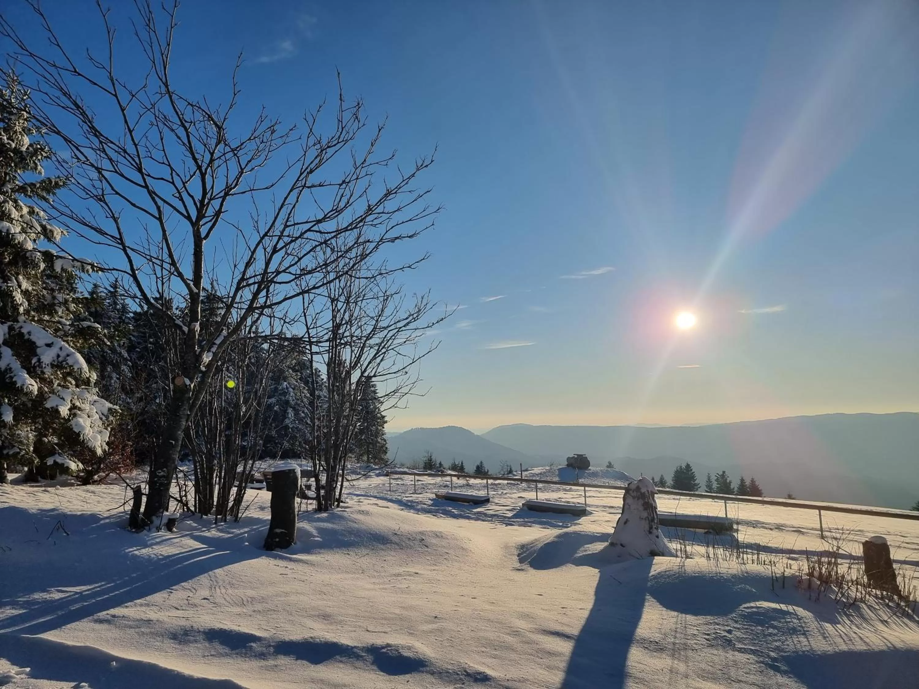 Natural landscape in Kurparkhotel Faißt