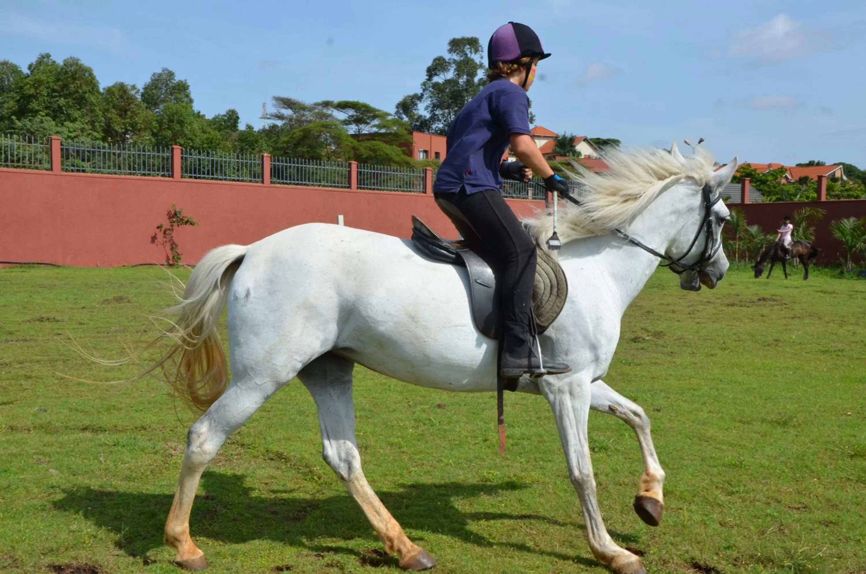 Horse-riding in Speke Resort and Conference Center