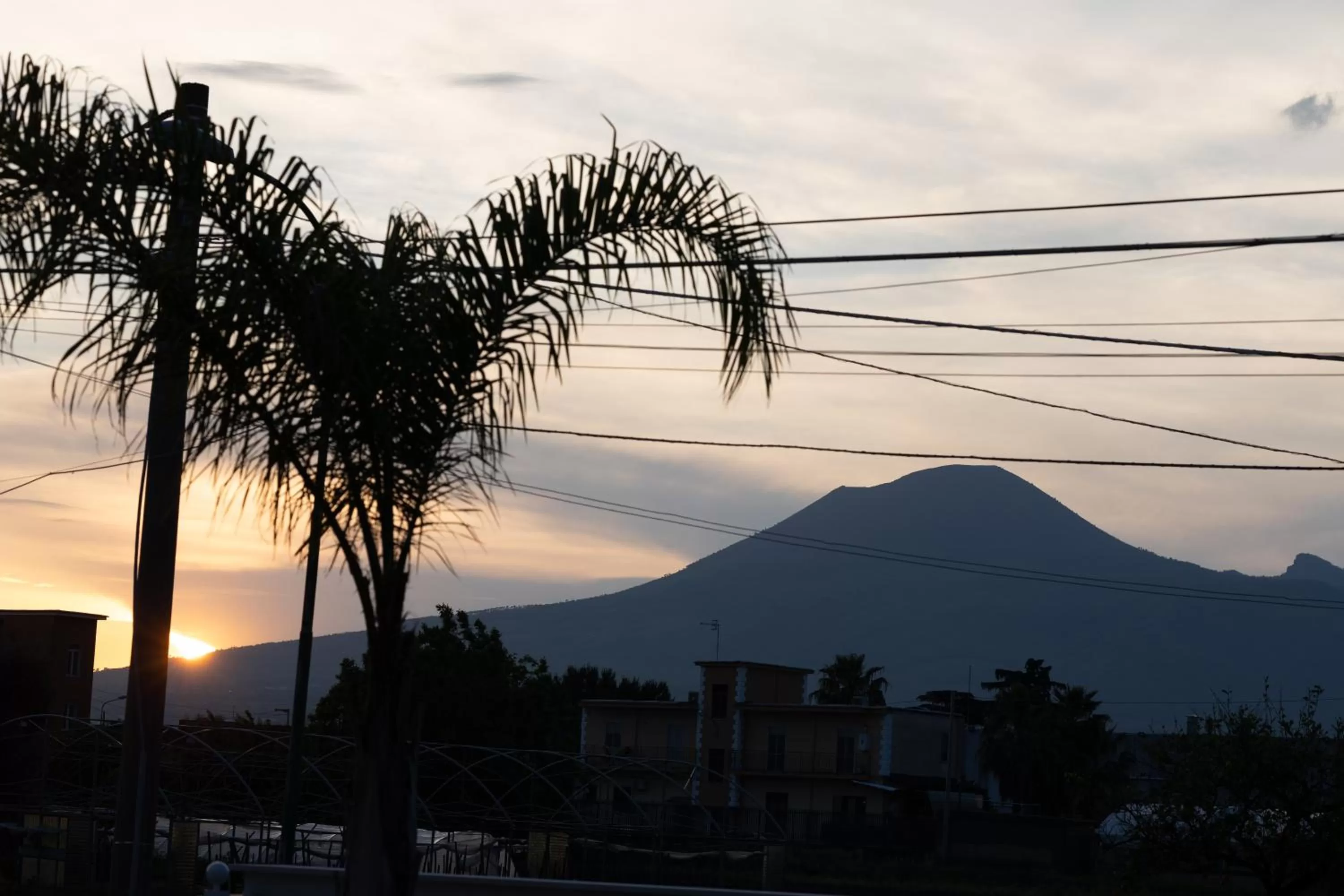Natural landscape in Rosy's House