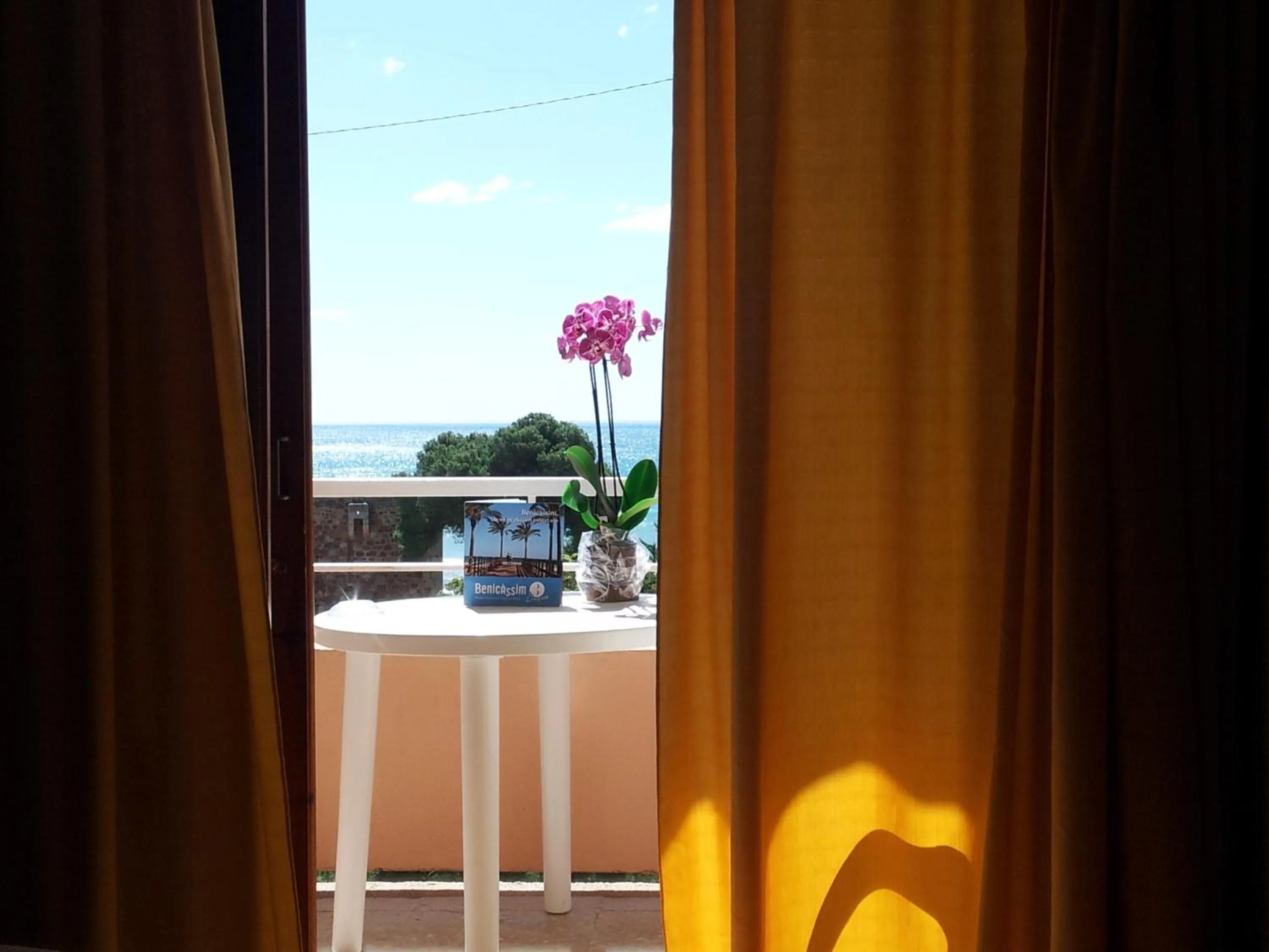 Balcony/Terrace in Hotel Tramontana