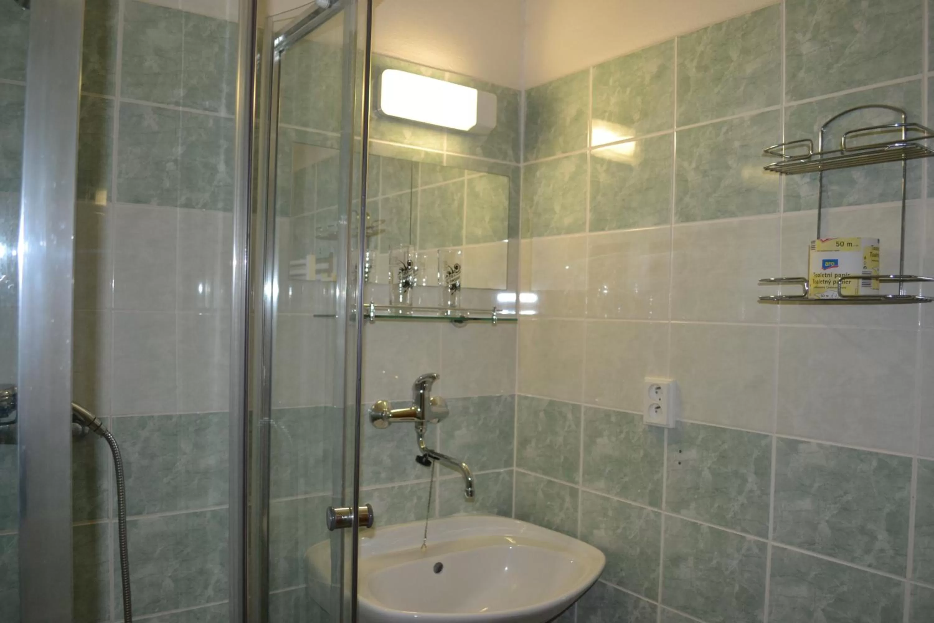 Shower, Bathroom in Hotel Alfa