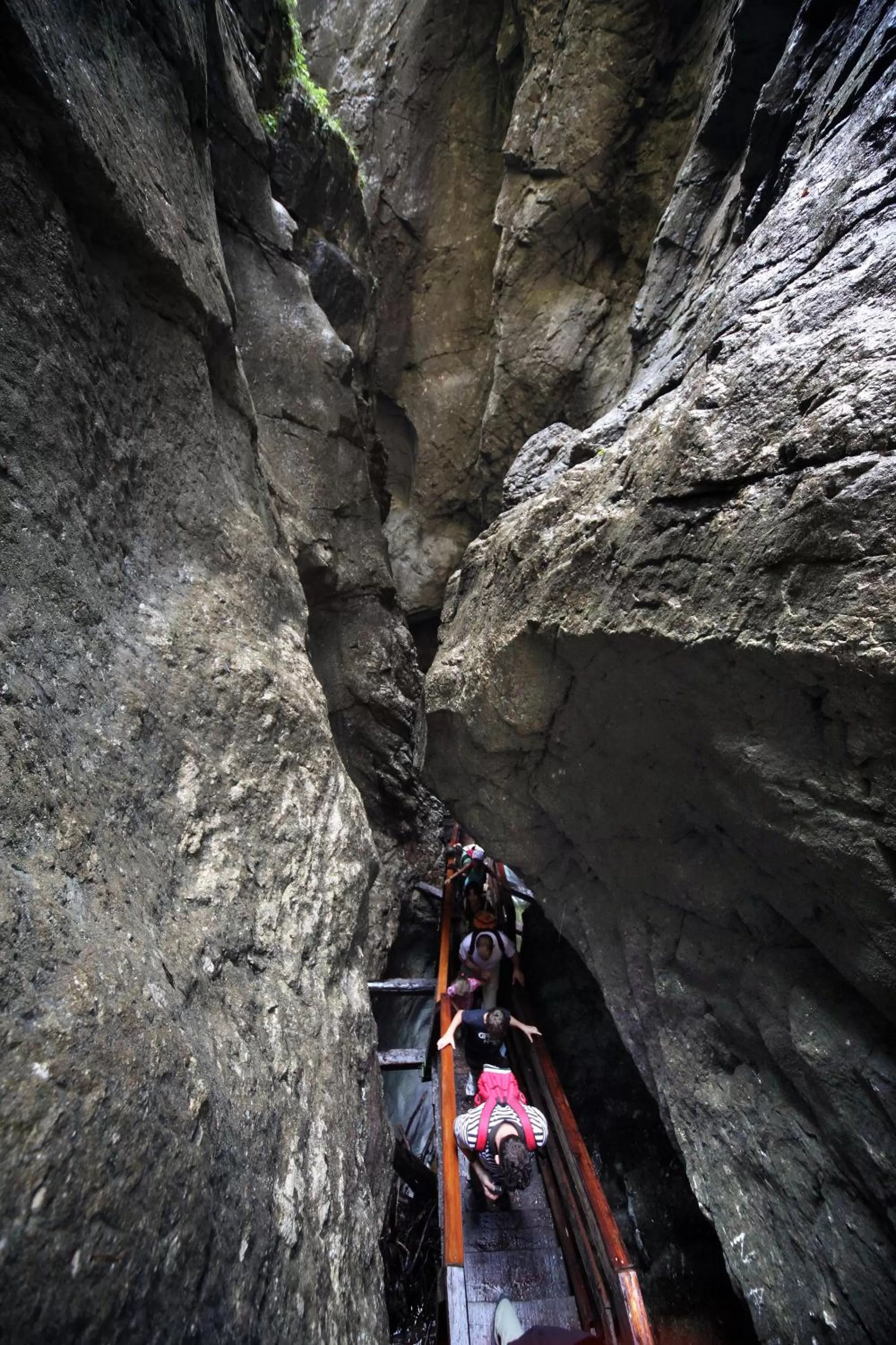 Other in Pension Wildental