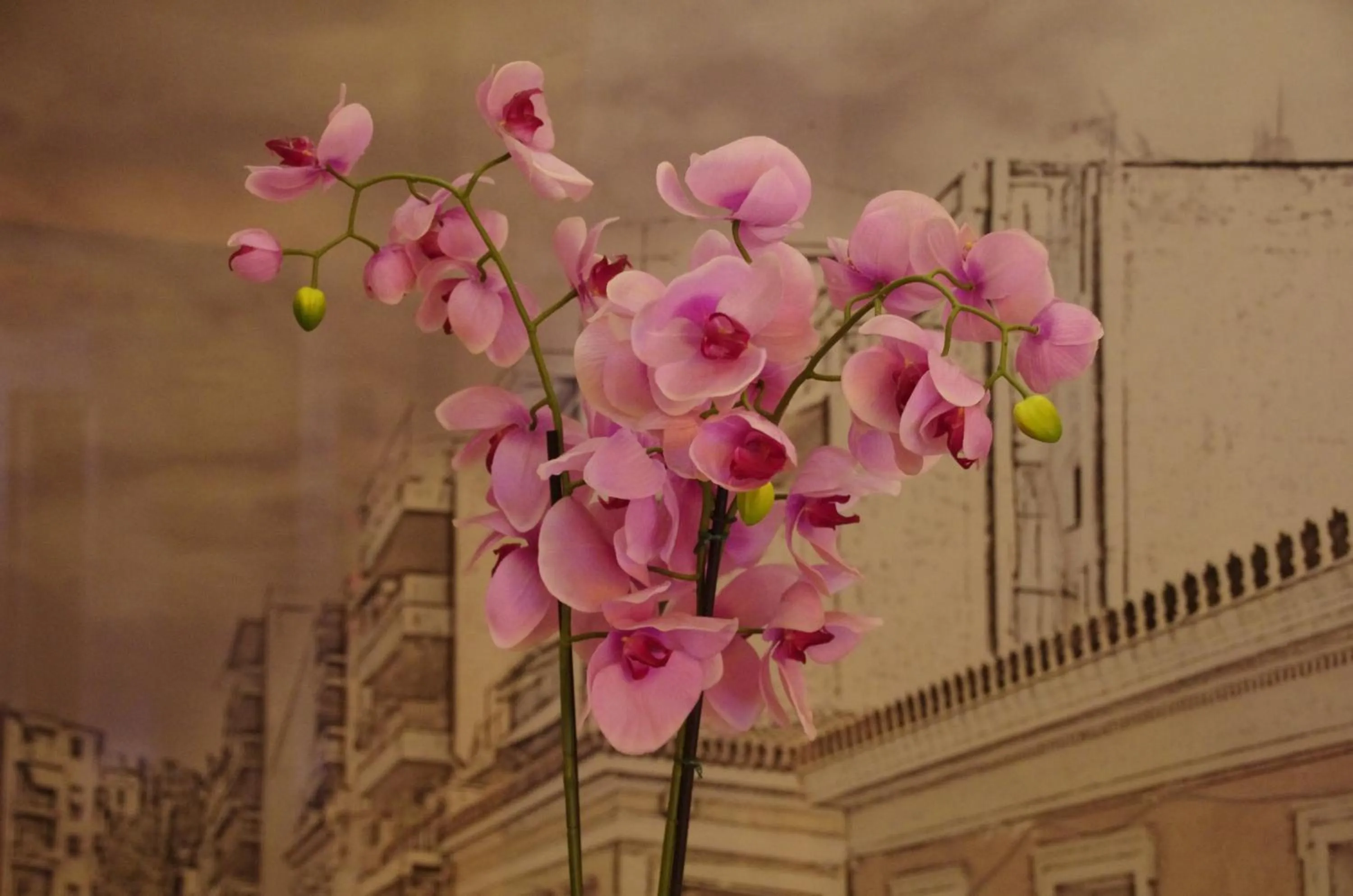 Decorative detail in Hotel Exarchion