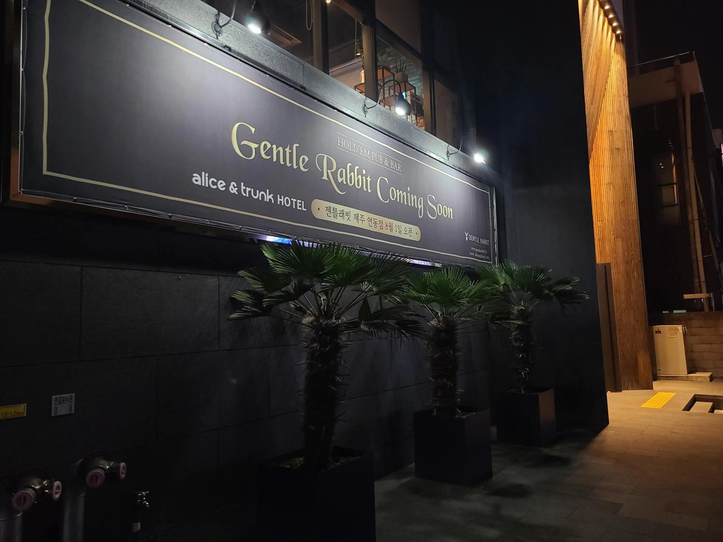 Night in Hotel Alice and Trunk