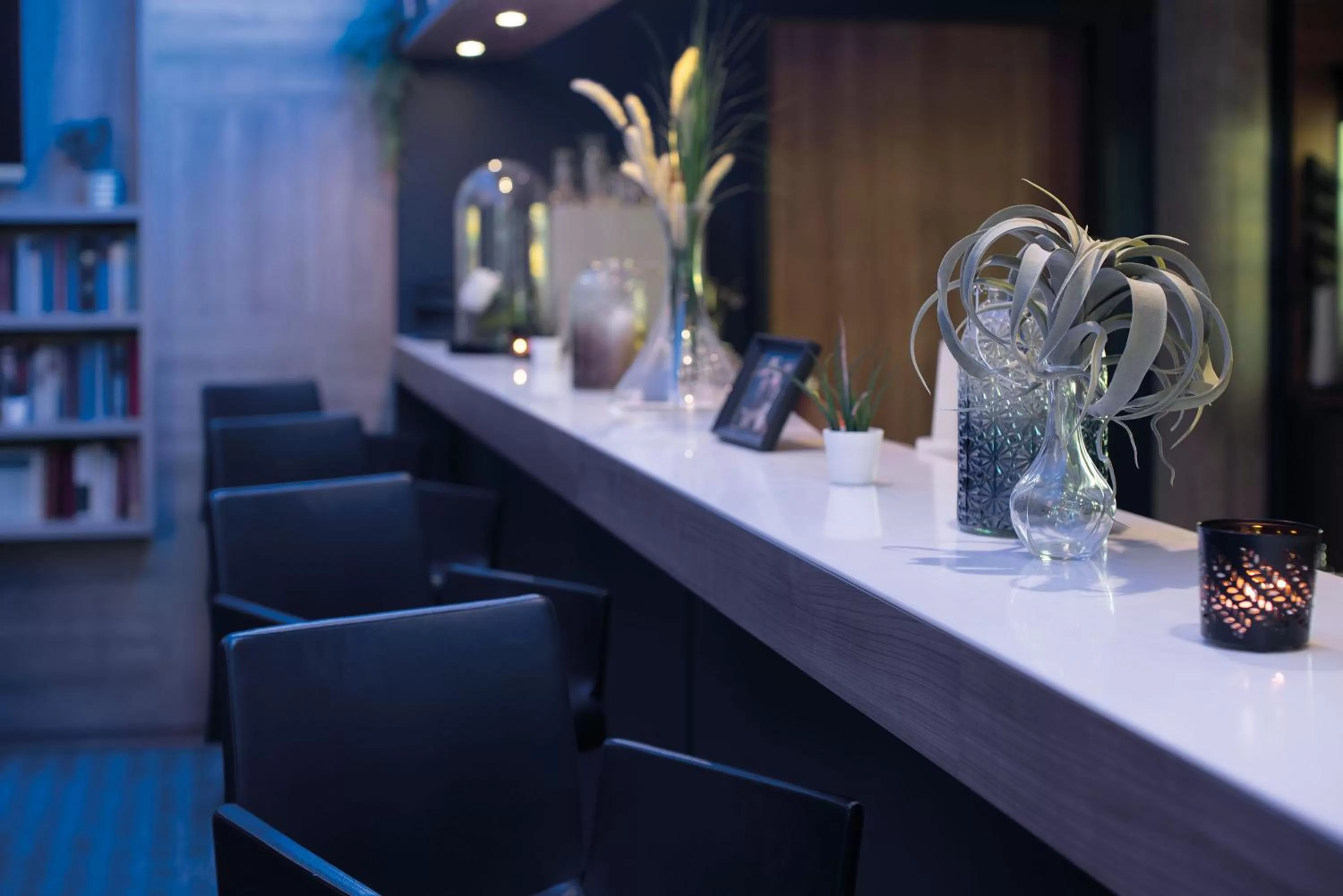 Lounge or bar in Seminaris CampusHotel Berlin