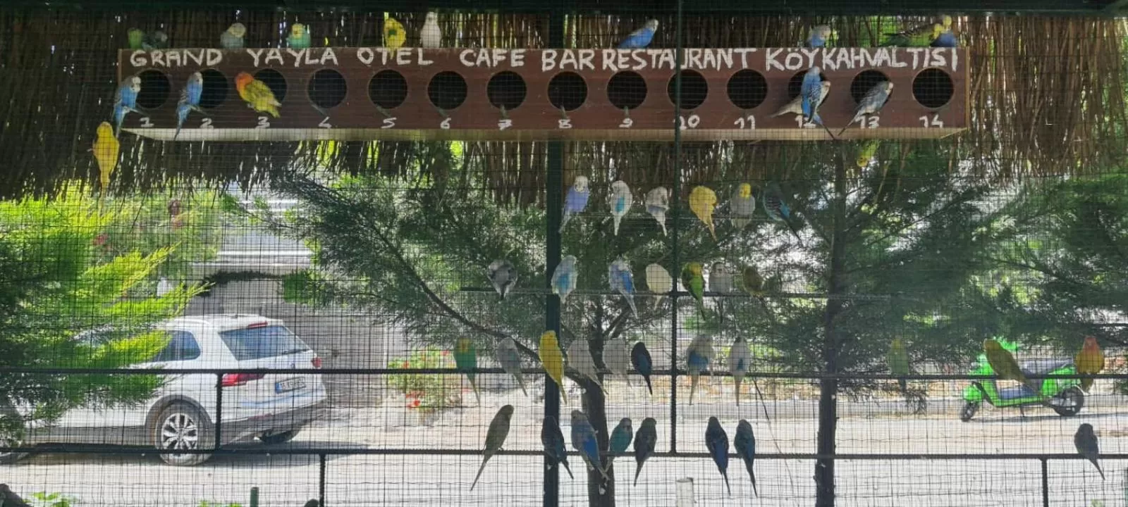 Restaurant/places to eat in Grand Yayla Hotel