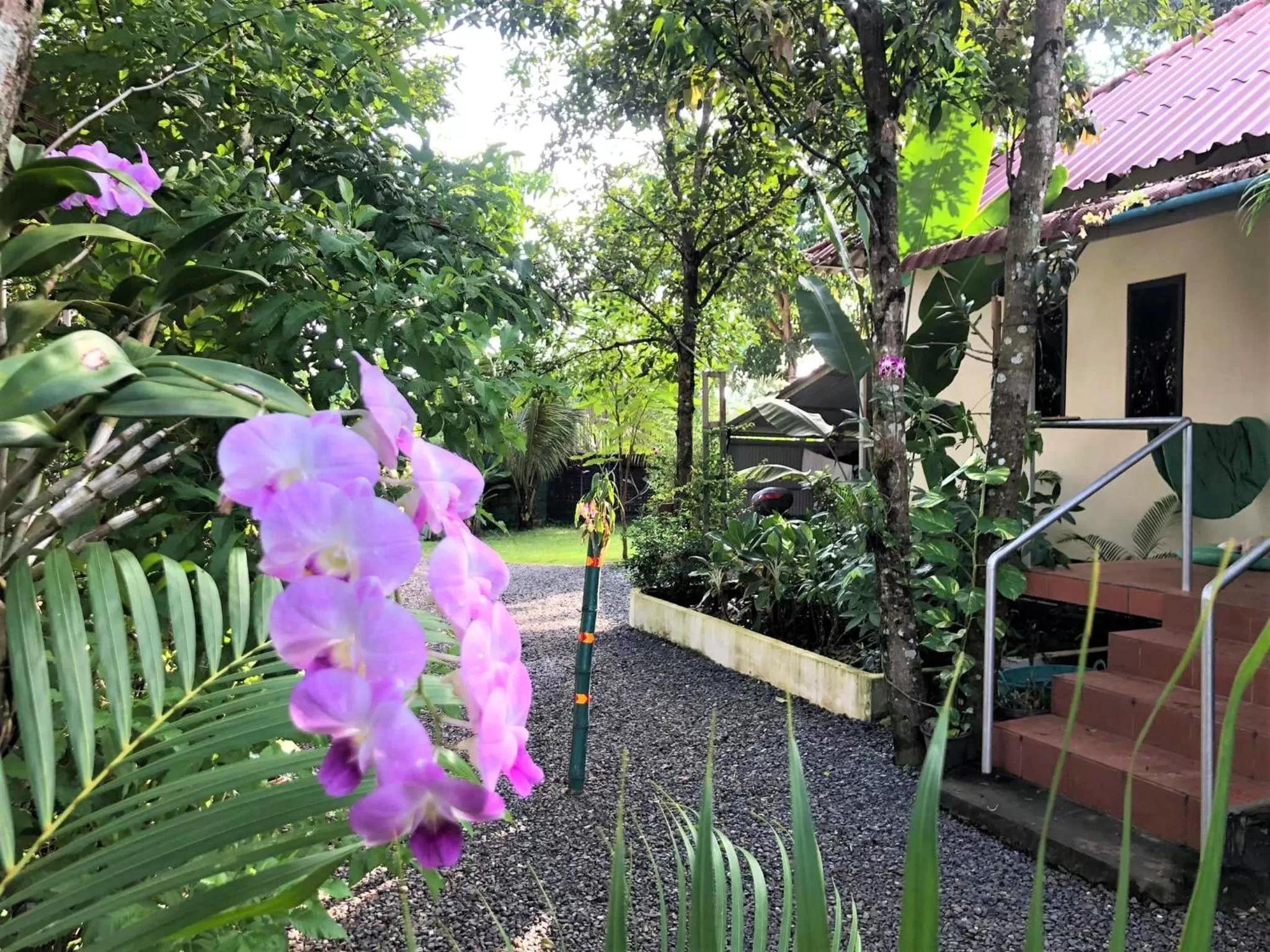 Property building in Green Mango Bungalows