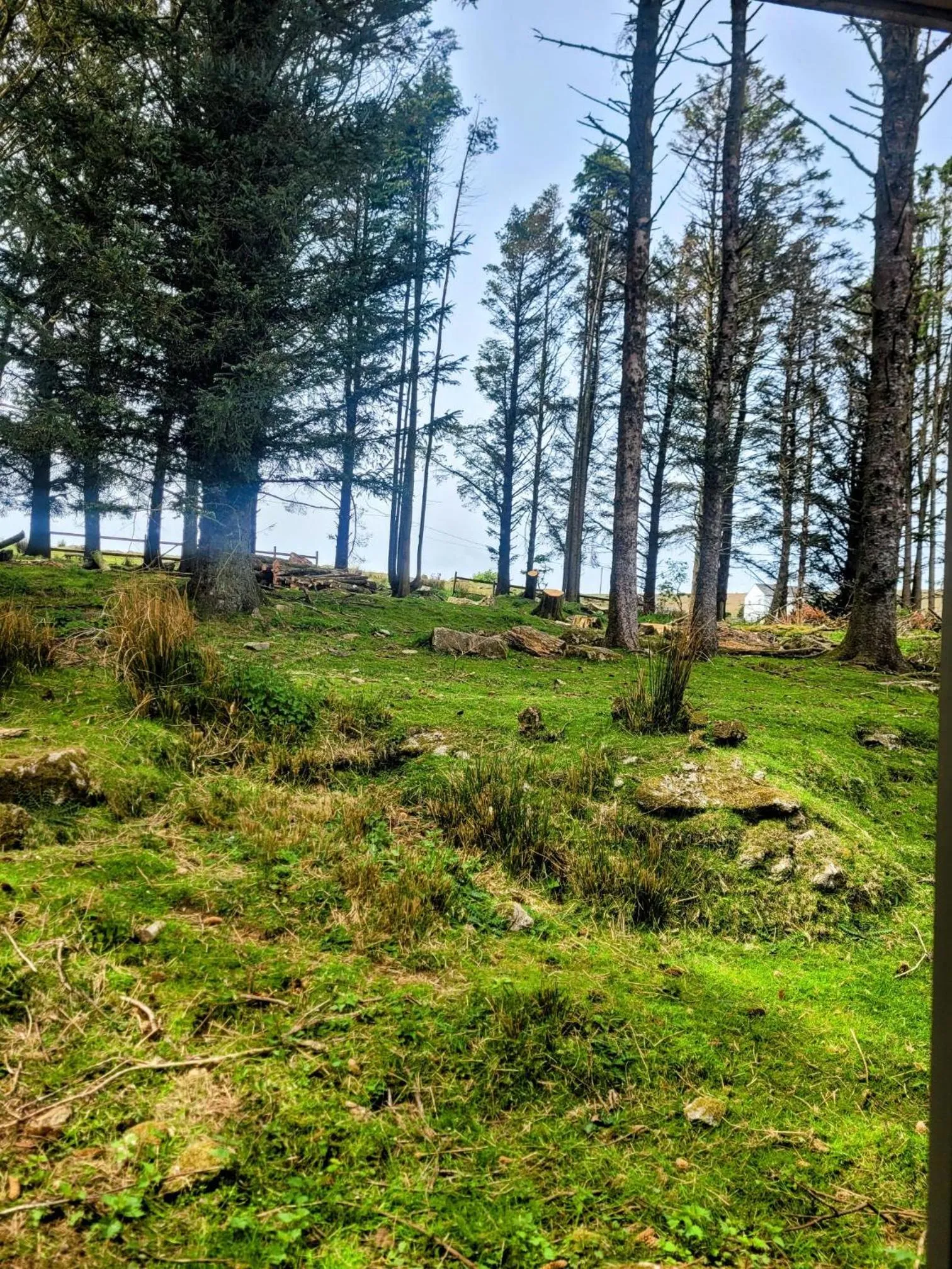 Natural landscape in Wheal Tor Hotel & Glamping