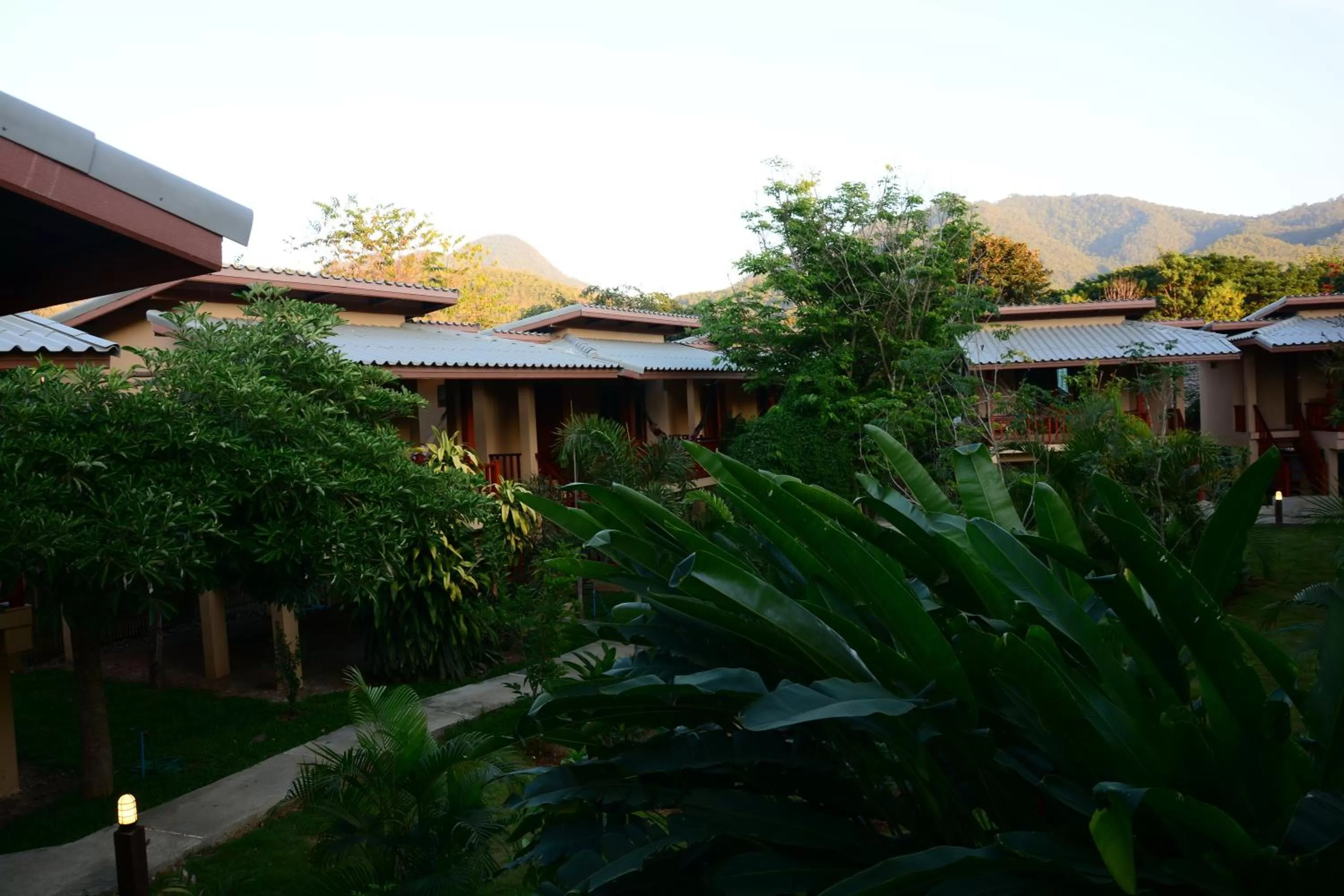 View (from property/room) in Pai Loess Resort