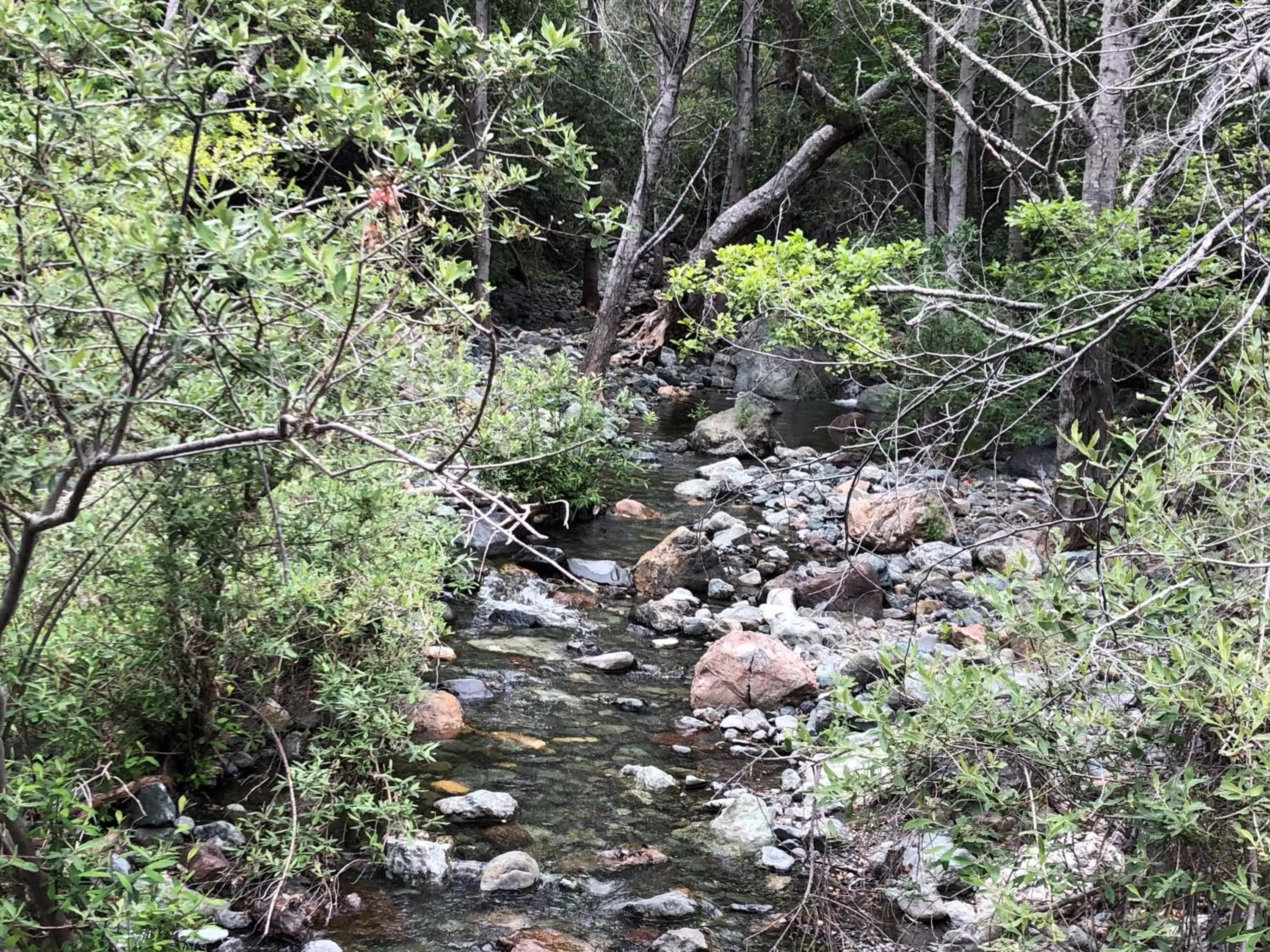 Olallieberry Inn Bed and Breakfast