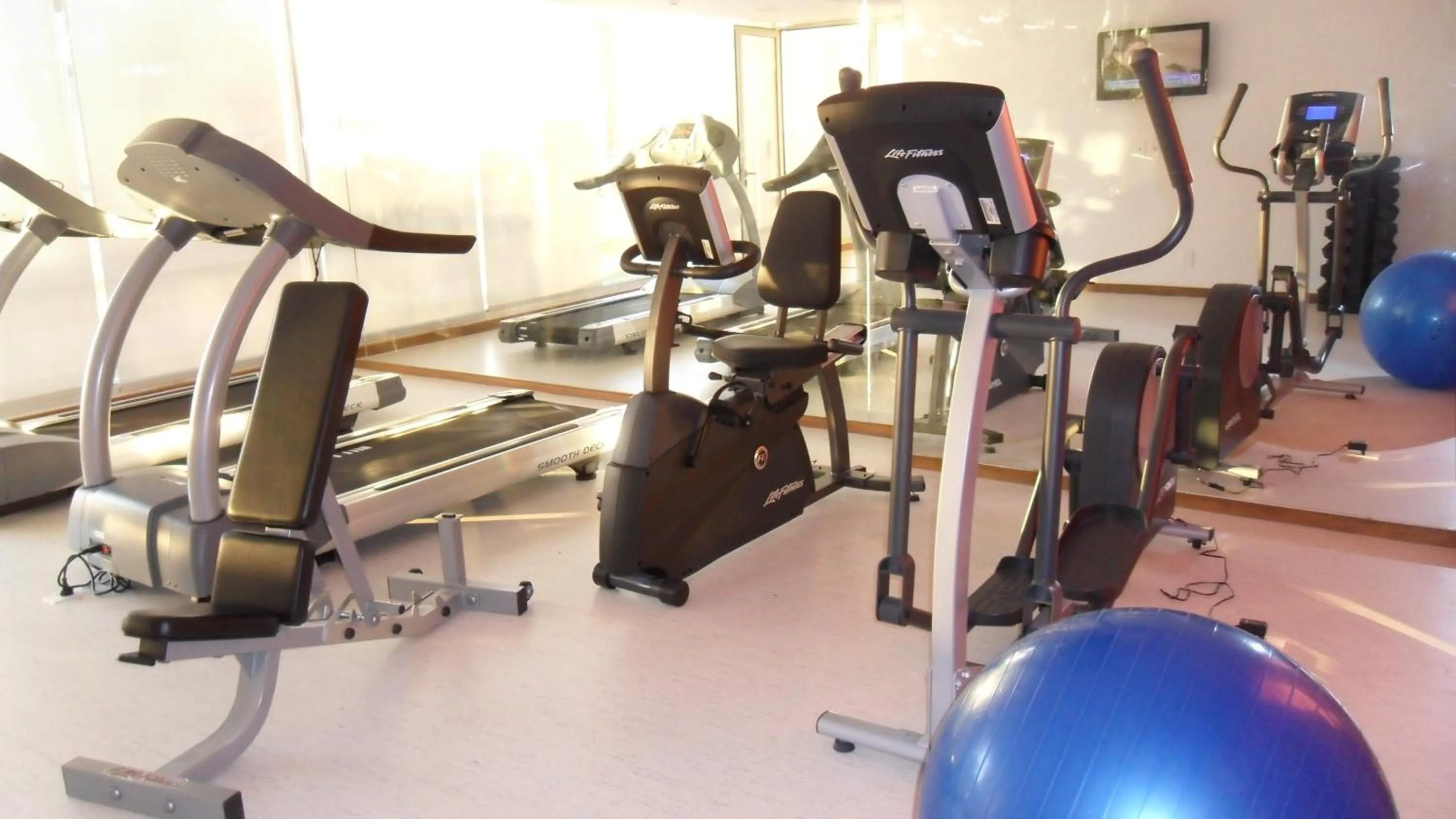 Fitness centre/facilities in Real Colonia Hotel & Suites