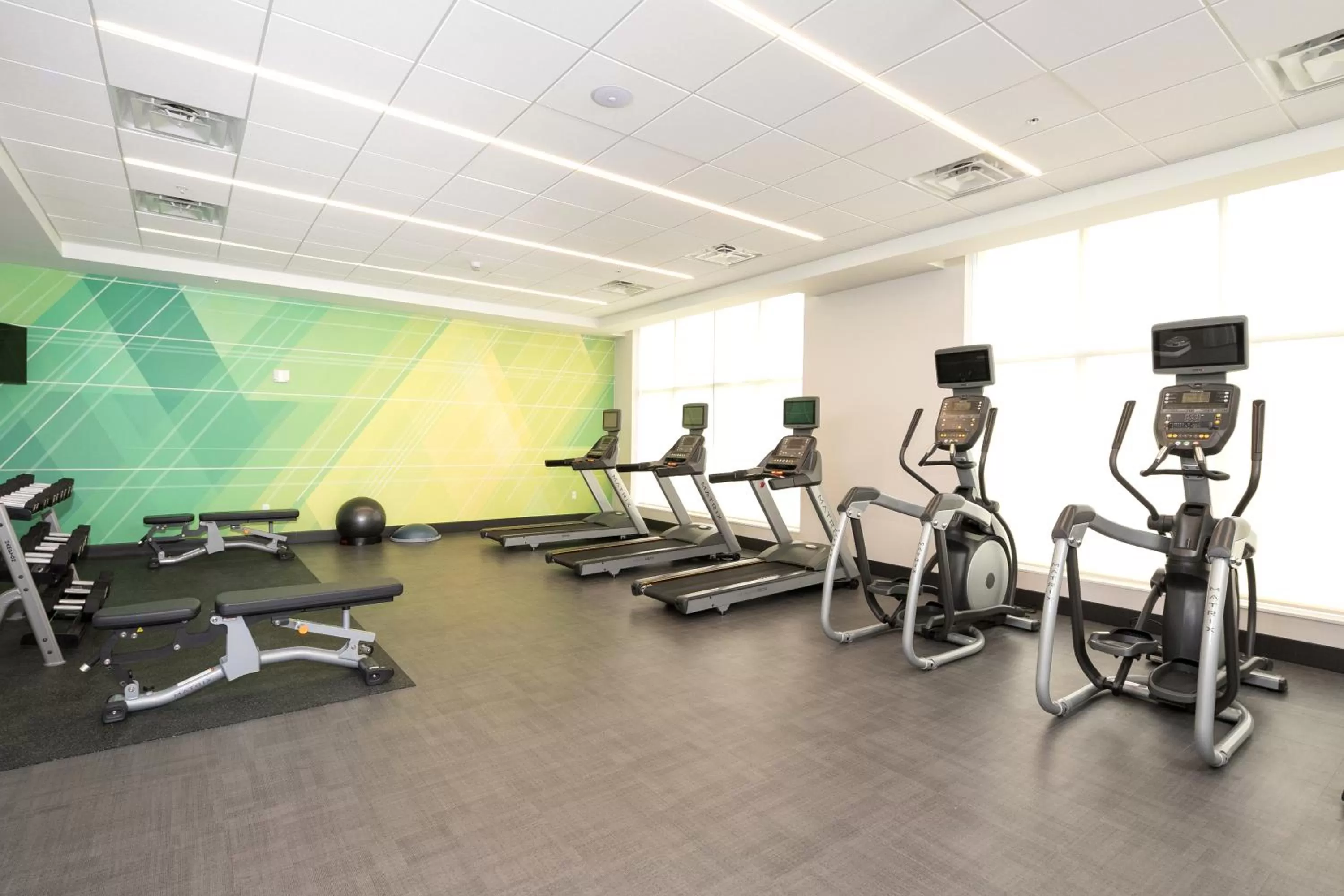 Fitness centre/facilities in Holiday Inn & Suites Detroit - Troy by IHG