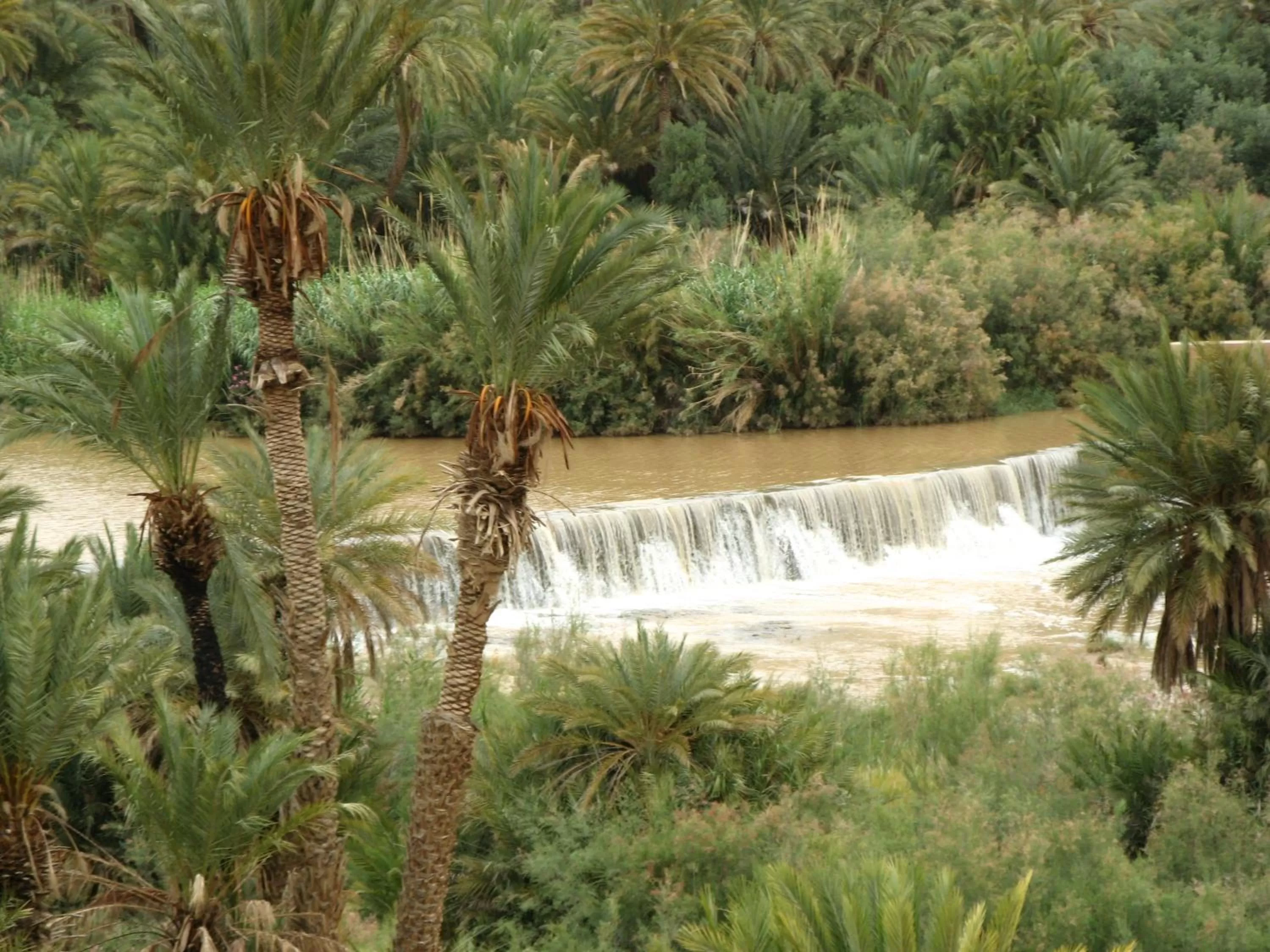 Natural landscape, Pool View in Auberge Tinit