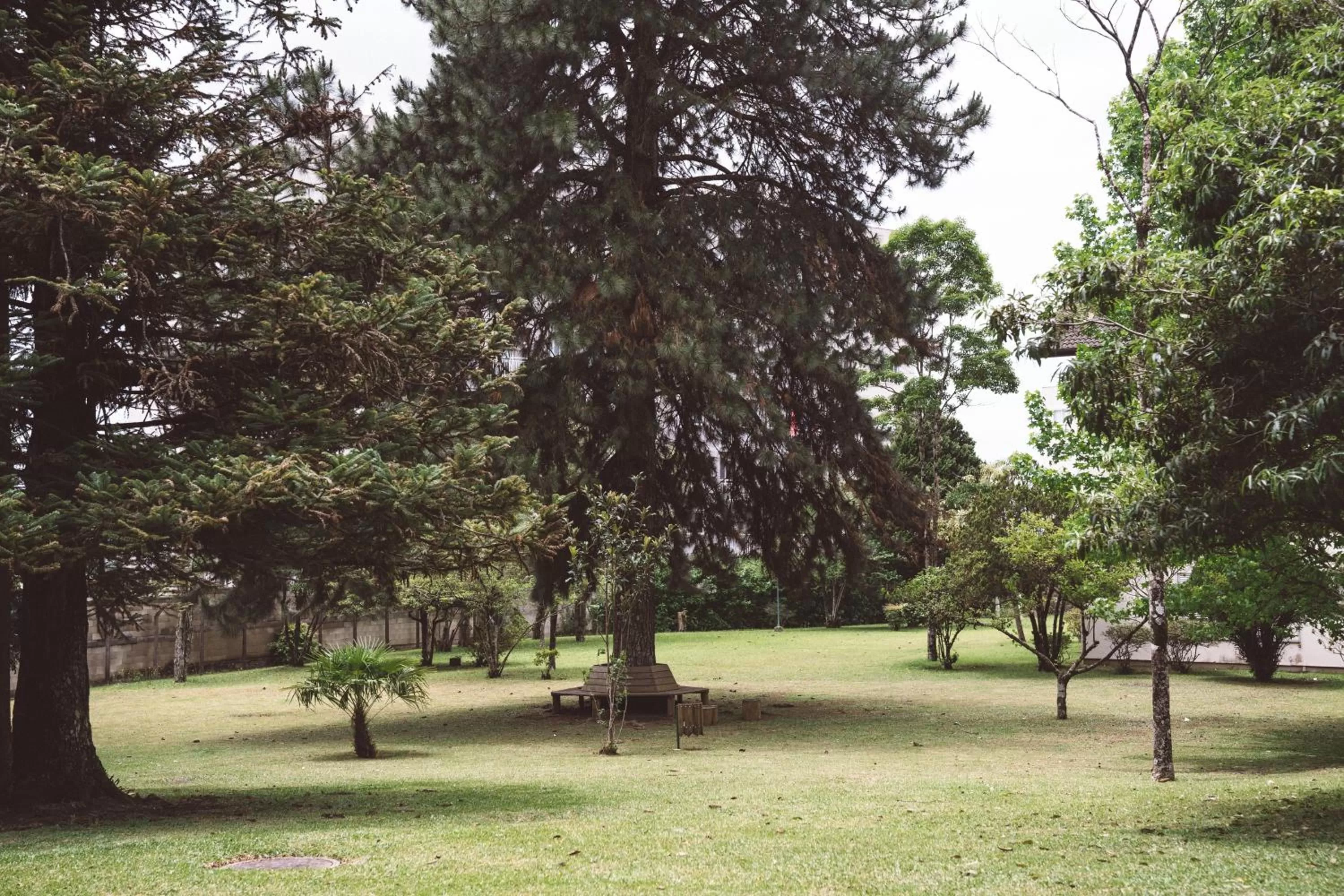 Garden in Pousada Betânia