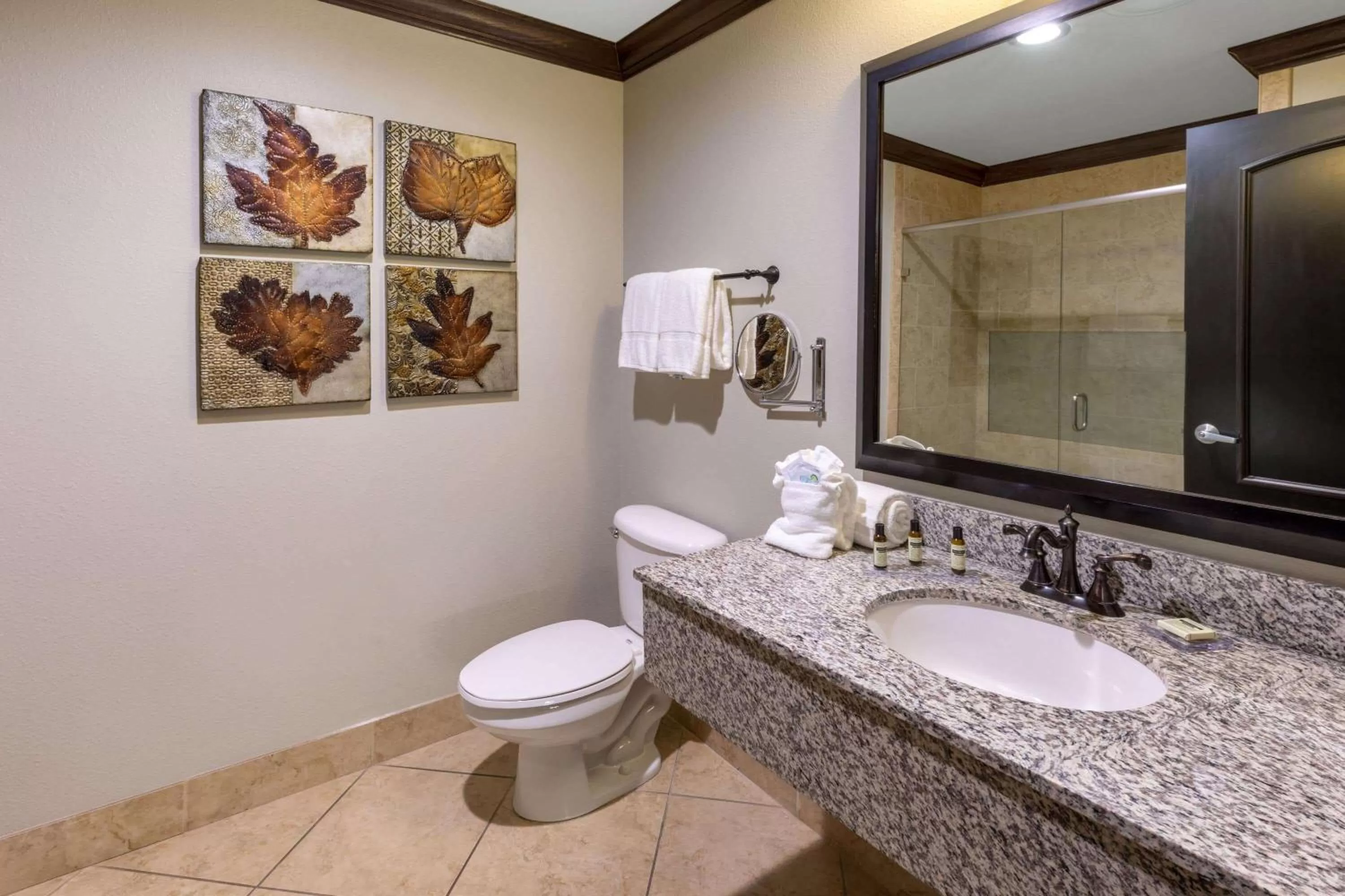 Bathroom in Hawthorn Suites by Wyndham Lubbock