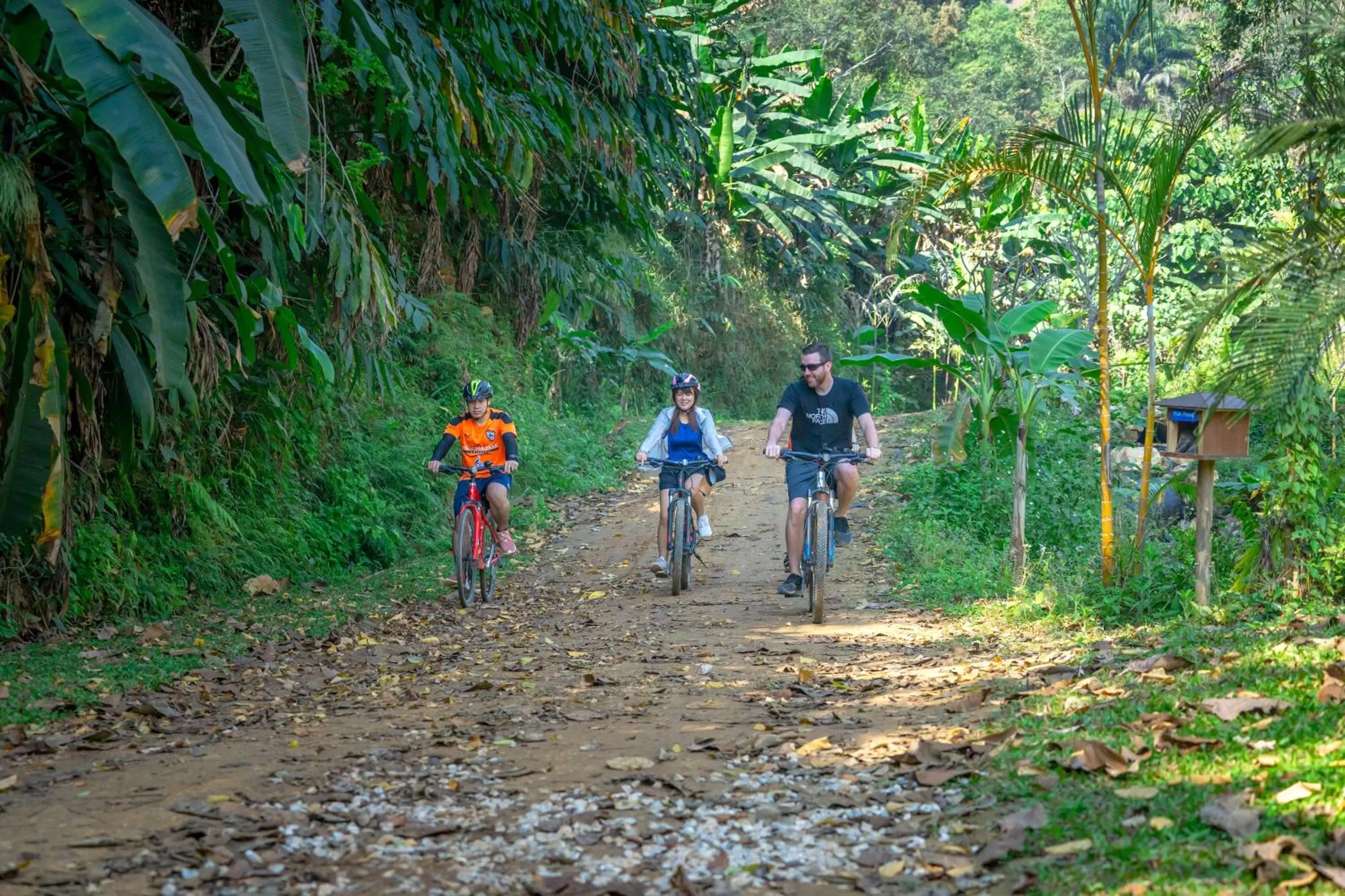 Activities in Katiliya Mountain Resort And Spa