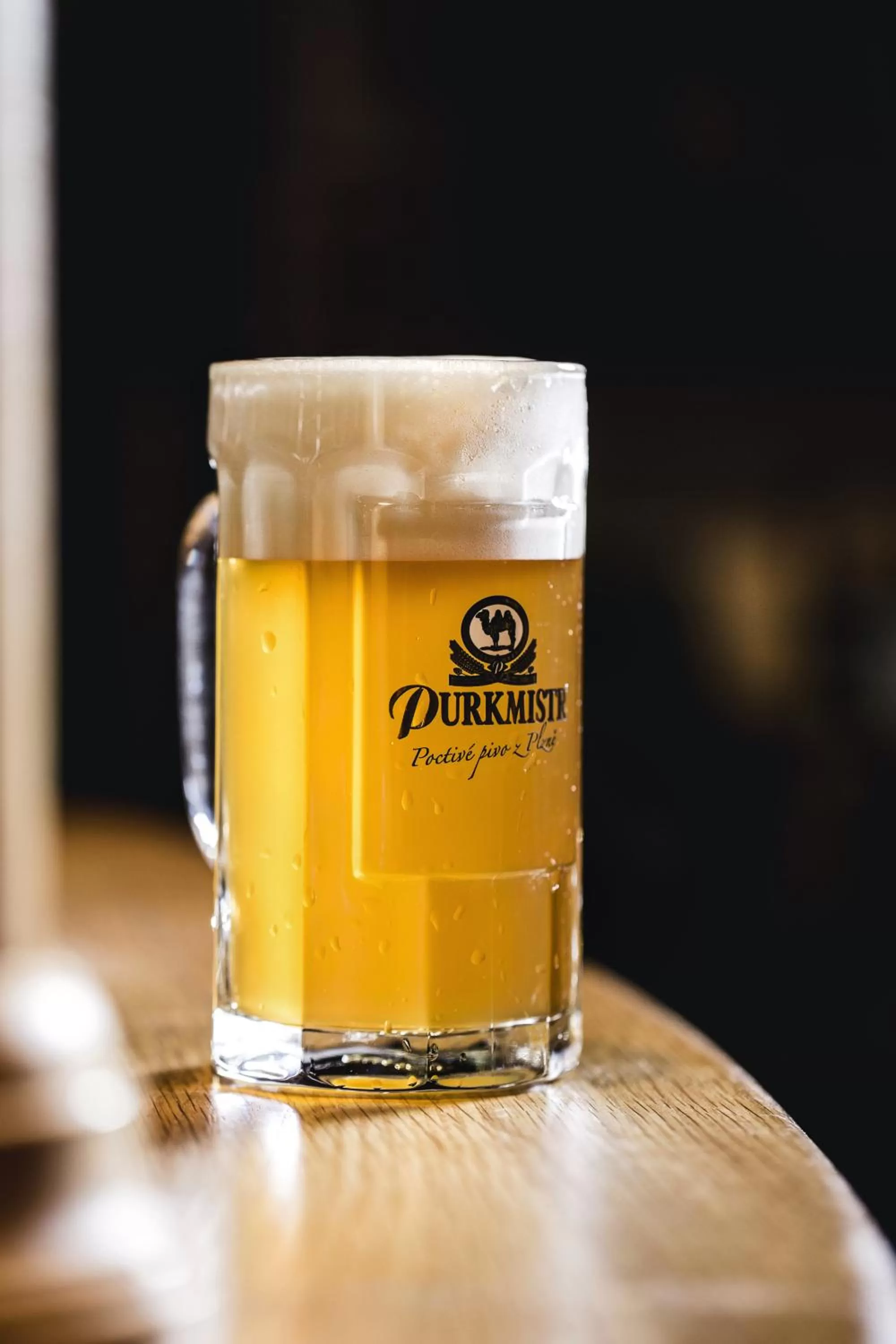 Decorative detail in Hotel Purkmistr